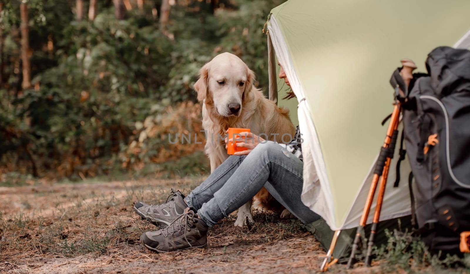 Cute golden retriever dog sitting in the camping in the wood close to tent with his owner drinking tea. Hiking with pet in mountains forest