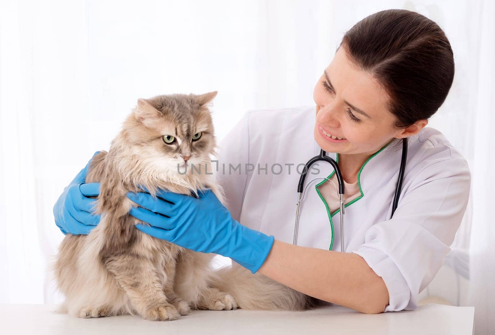 Cat is waiting with to be treated by GekaSkr