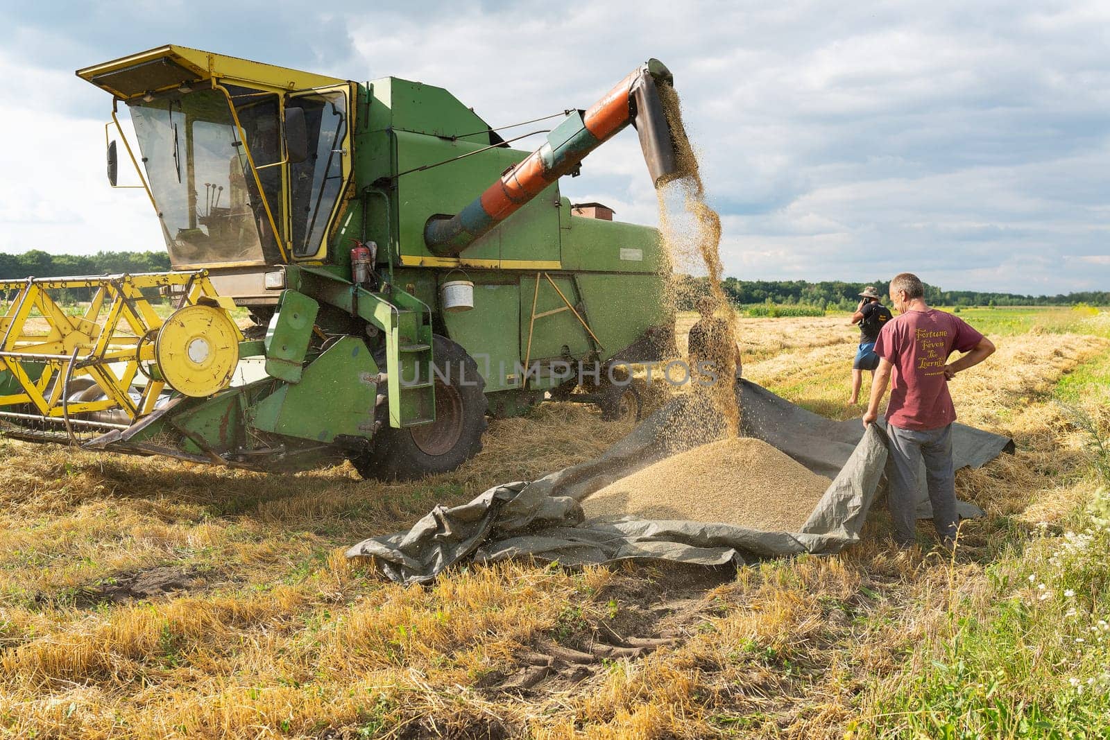 Harvest, farmers look at the harvest. The combine harvester pours out ripe wheat and barley. Agriculture, grain is already being unloaded on the ground. Problems with lack of bread, hunger. by sfinks