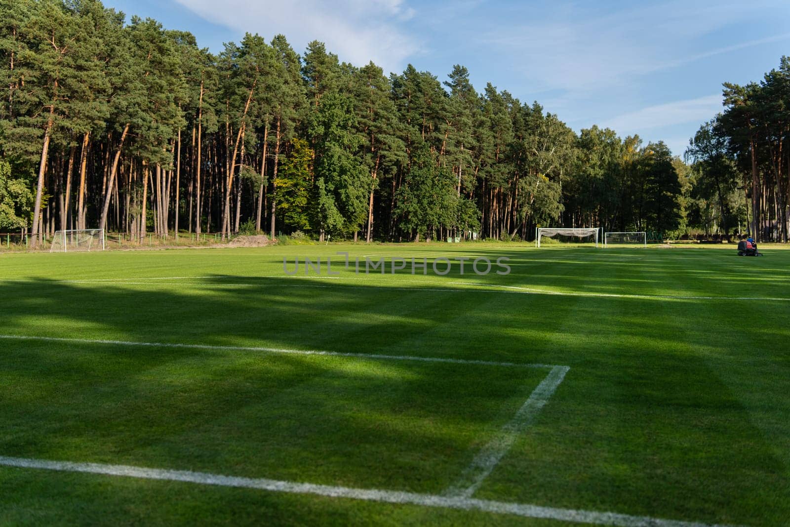 Local football. Soccer grass field near a pine forest, outdoor game. by sfinks