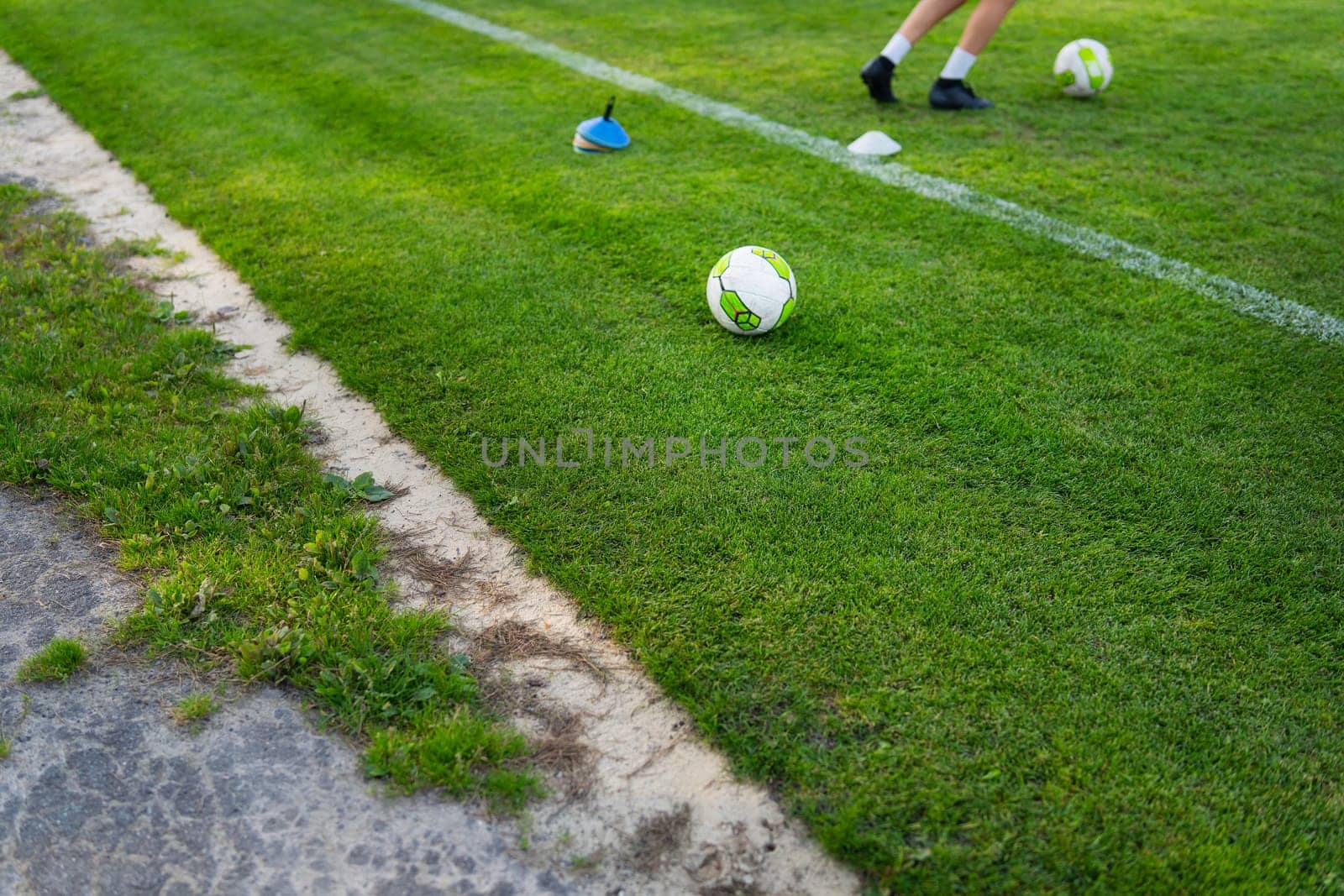 Local football. Soccer grass field near a pine forest, training in the fresh air. by sfinks