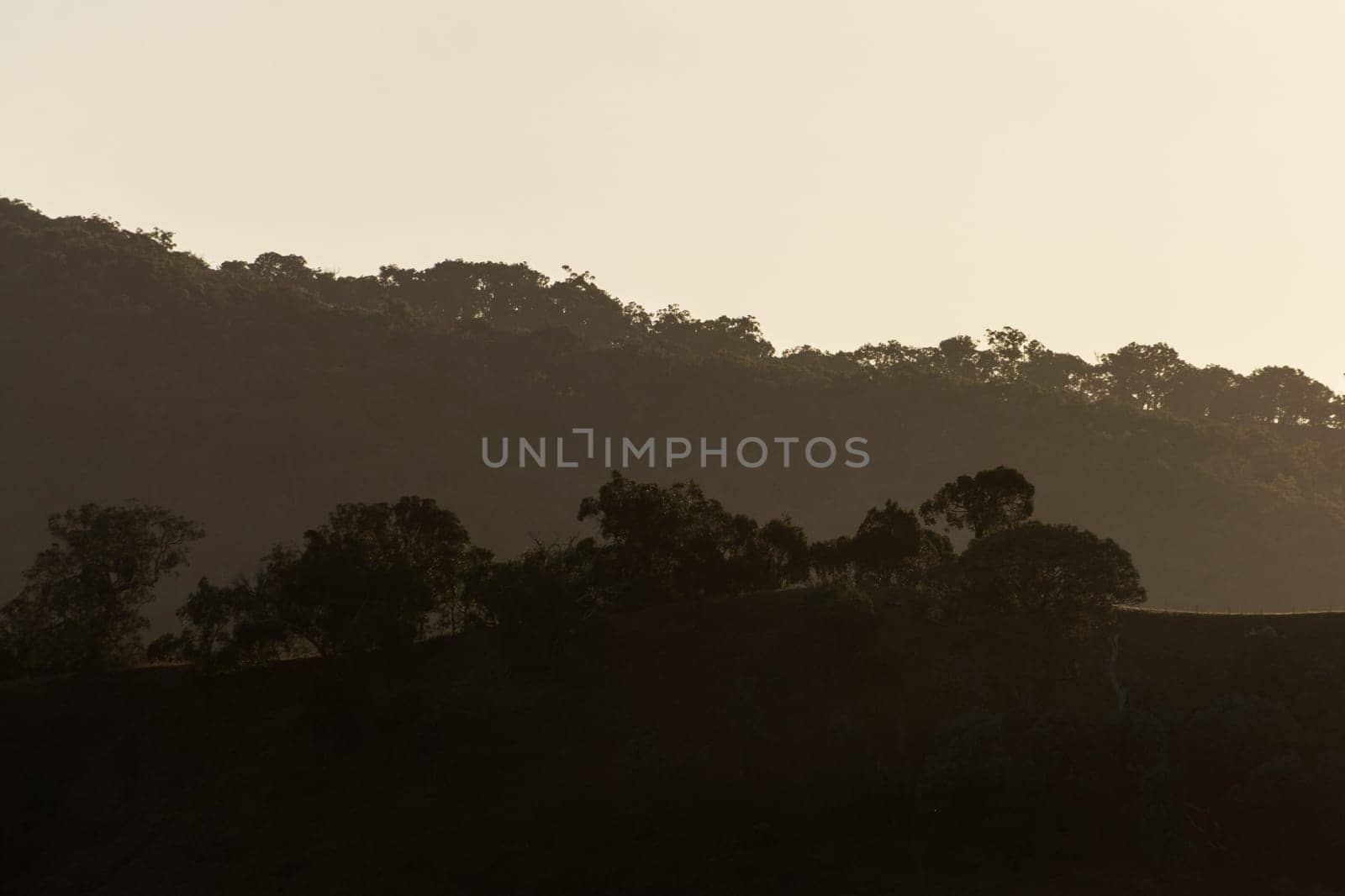 Gradients of sepia tones highlight layers of rolling hills in Bonnie Doon, Victoria, Australia. Sunlight lights up the trees and grass as the sun sets, with black, orange, grey and brown colours