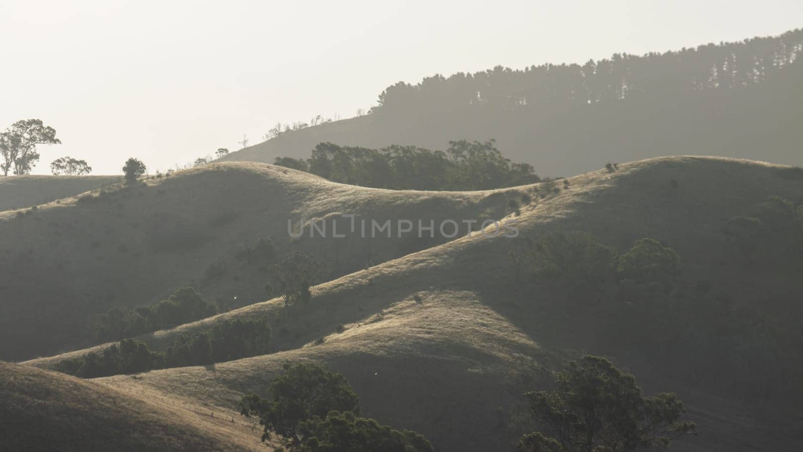 Gradients of sepia tones highlight layers of rolling hills in Bonnie Doon, Victoria, Australia. Sunlight lights up the trees and grass as the sun sets, with black, orange, grey and brown colours