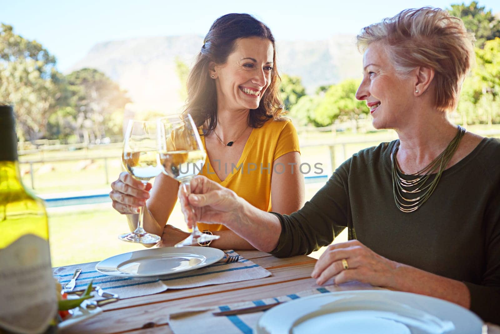 May we always keep our family traditions alive. a senior mother and her daughter toasting with wine during a family lunch outdoors
