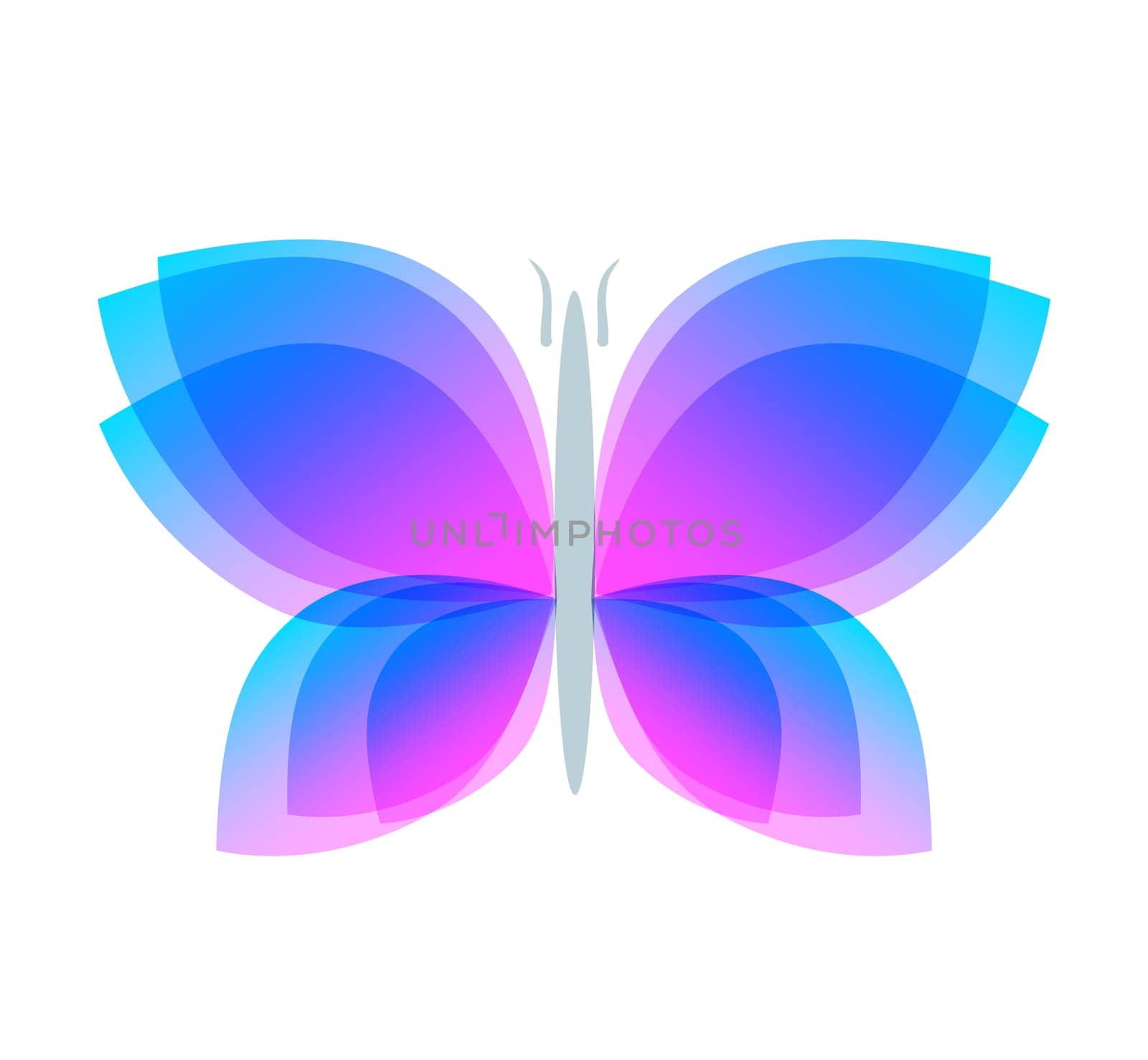 Watercolor butterfly with soft transition colors wings. Abstract flying insects logo template. Jpeg by Fyuriy