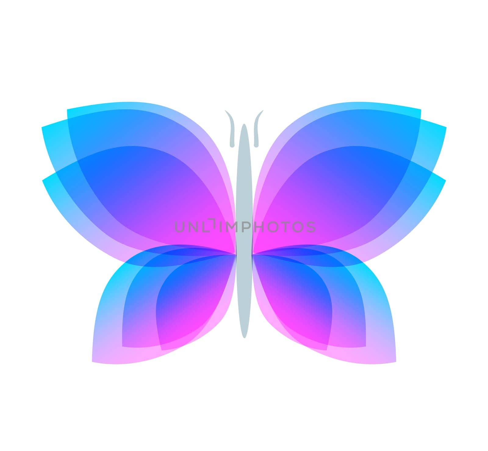 Watercolor butterfly with soft transition colors wings. Abstract flying insects logo template, isolated on white. Jpeg illustration.