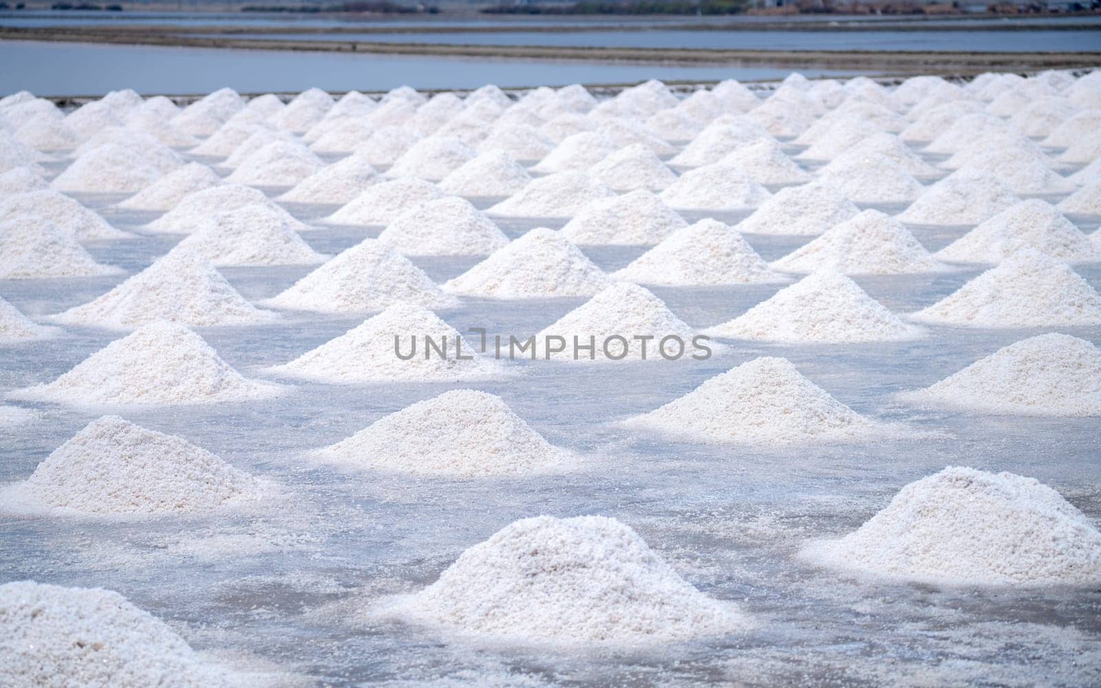 Sea salt farm. Pile of brine salt. Raw material of salt industrial. Sodium Chloride mineral. Evaporation and crystallization of sea water. White salt harvesting. Agriculture industry. Traditional farm