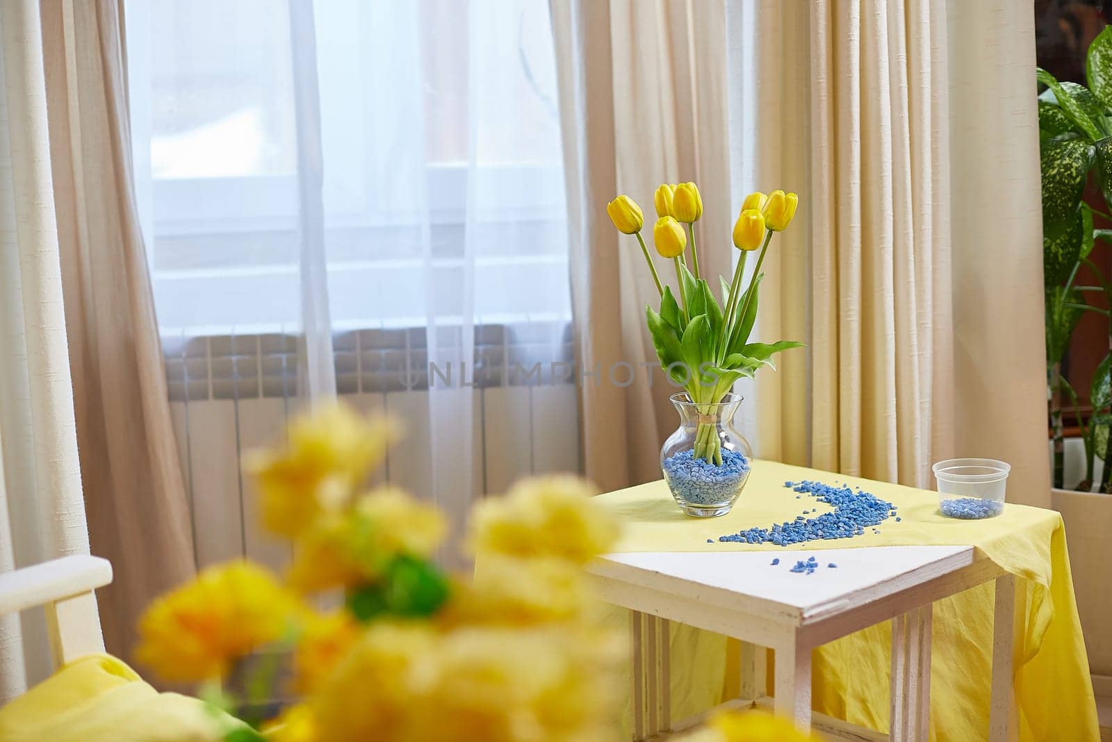 Interior in living room with armchair, table and flower by window with curtains in yellow colors. Empty location for shooting in photo studio. Concept of beauty, comfort and convenience, Partial focus