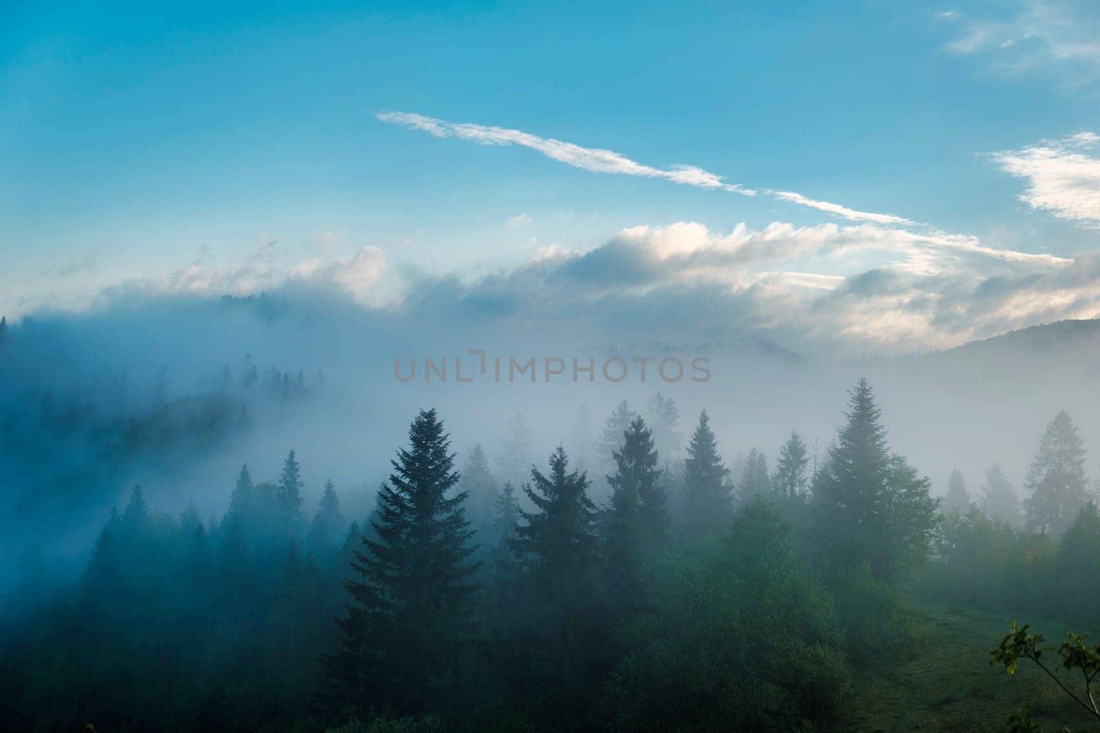 Landscape with fir forest in hipster vintage retro style. Misty morning in the mountains. download image