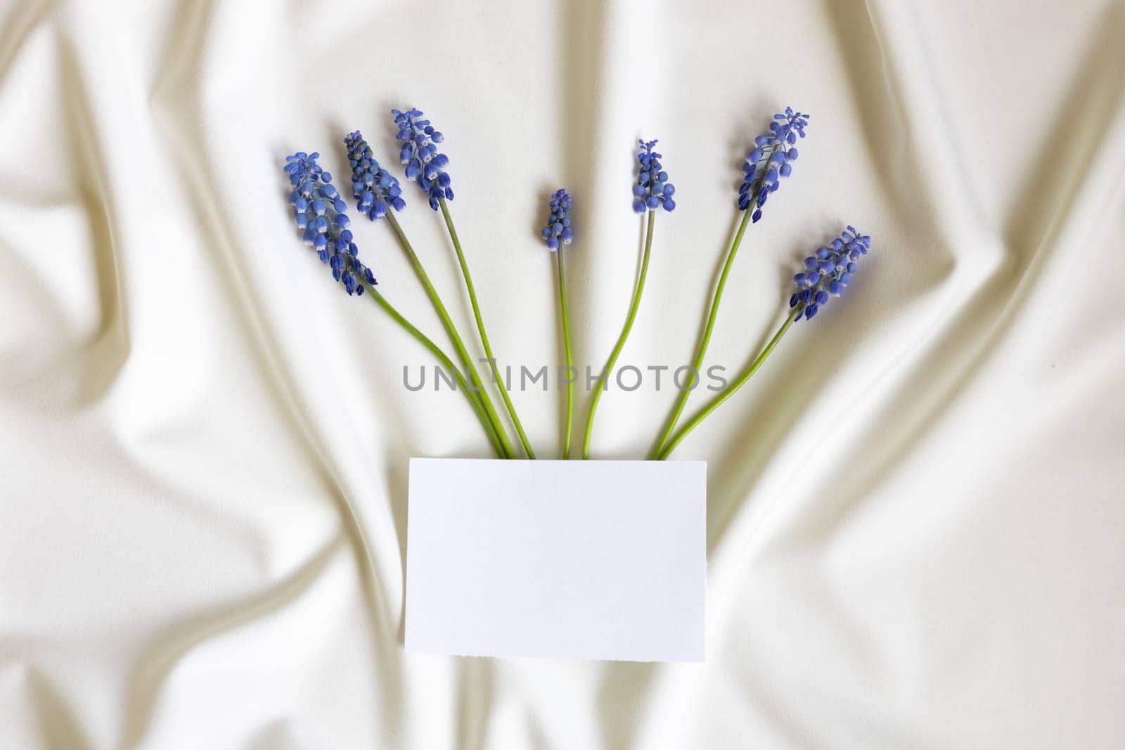 Top view of blank white greeting card Mum flowers on white folded fabric. Mothers day, wedding concept. by Ri6ka