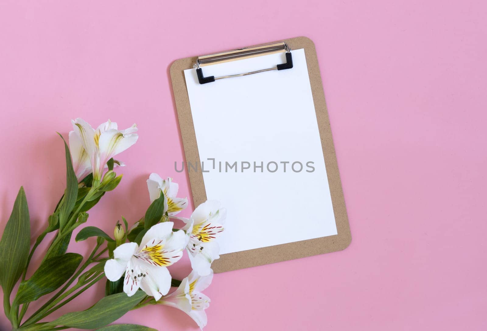 Doctors day. Fresh flowers and medical equipment on pink background. Congratulation for nurse day, space for text. by Ri6ka