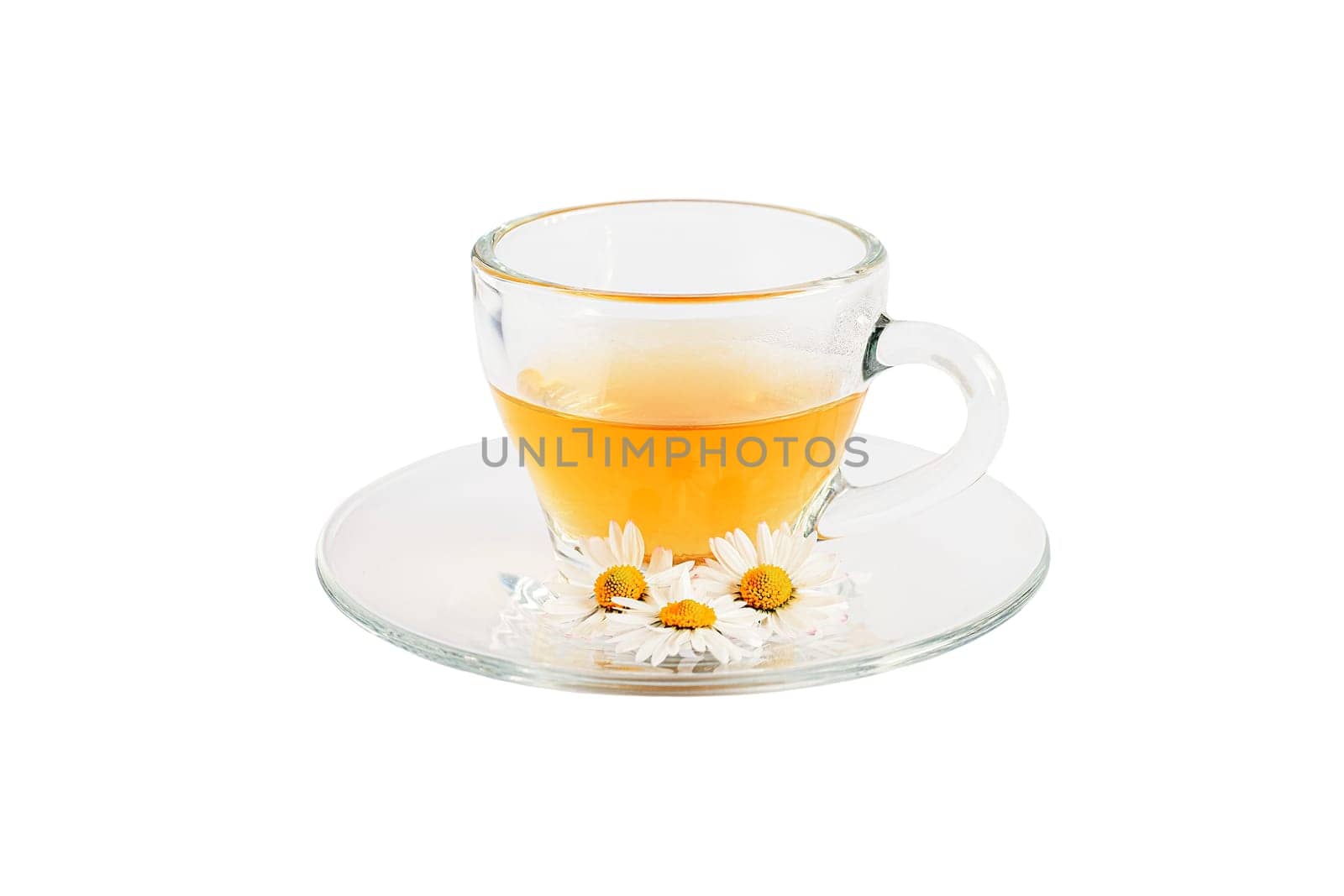 Trasparent cup with camomile tea and fresh flowers on a saucer isolated on white baskground.