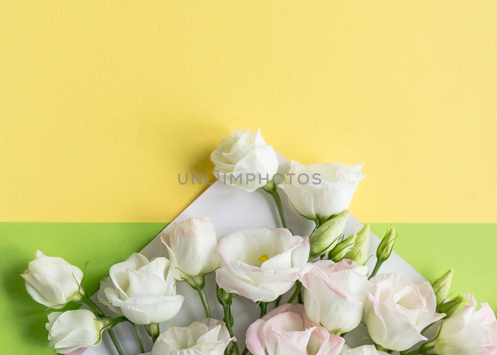 Composition with envelope and beautiful spring flowers on white background