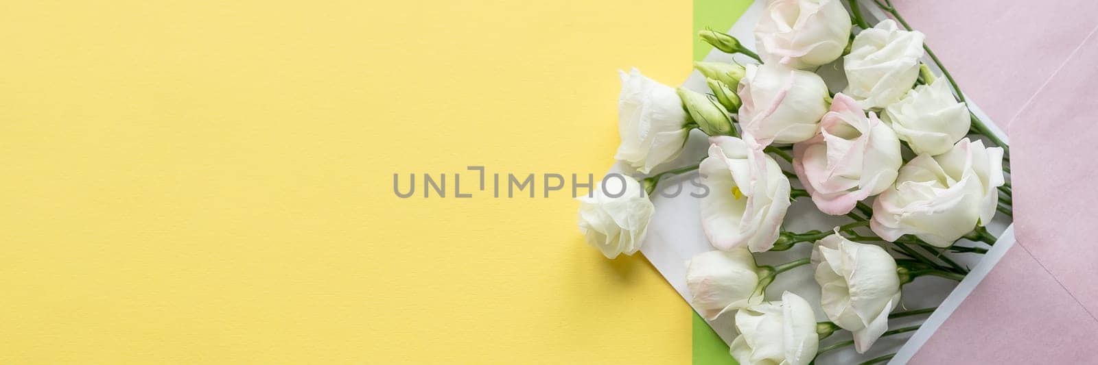 Composition with envelope and beautiful spring flowers on white background