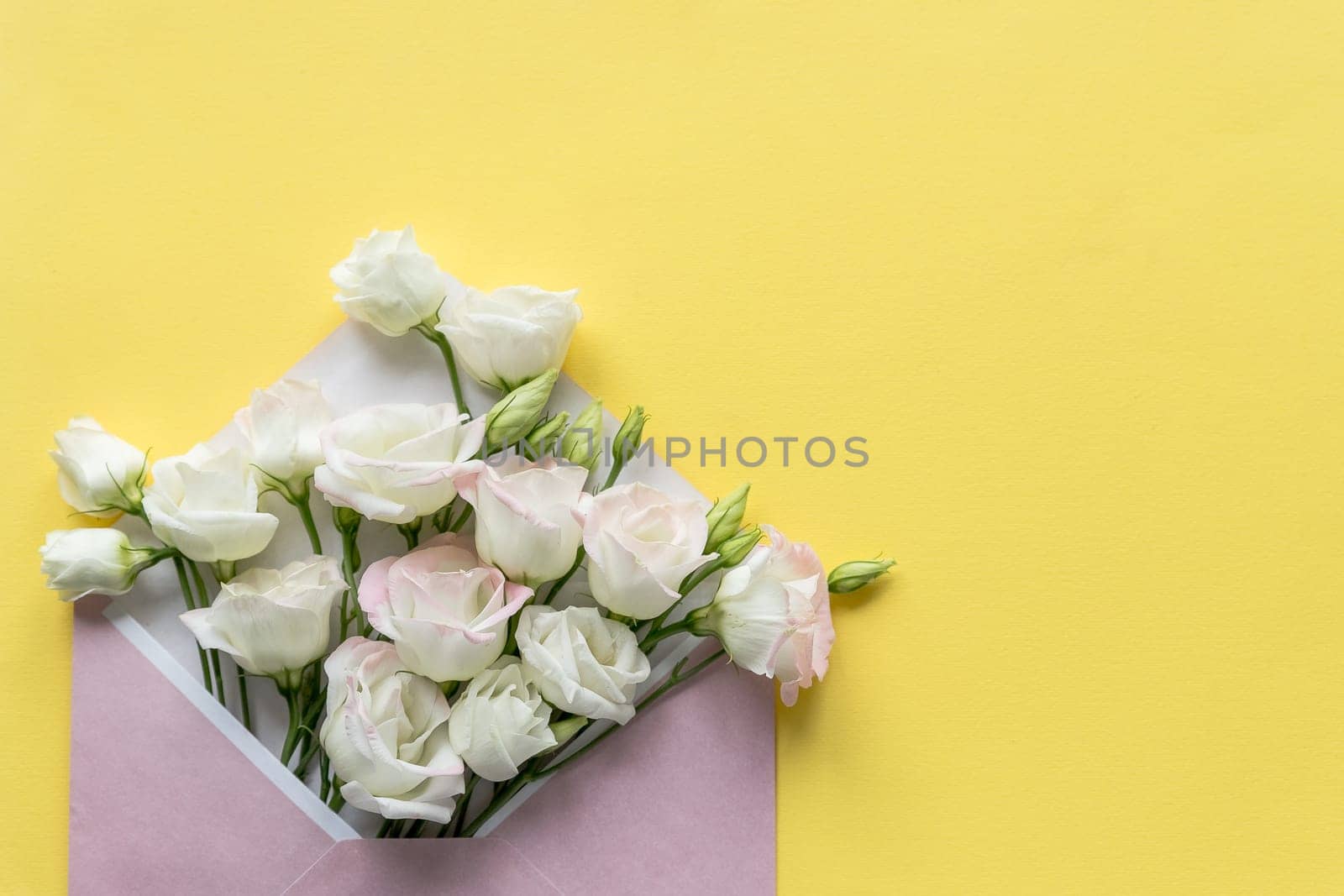 Composition with envelope and beautiful spring flowers on white background