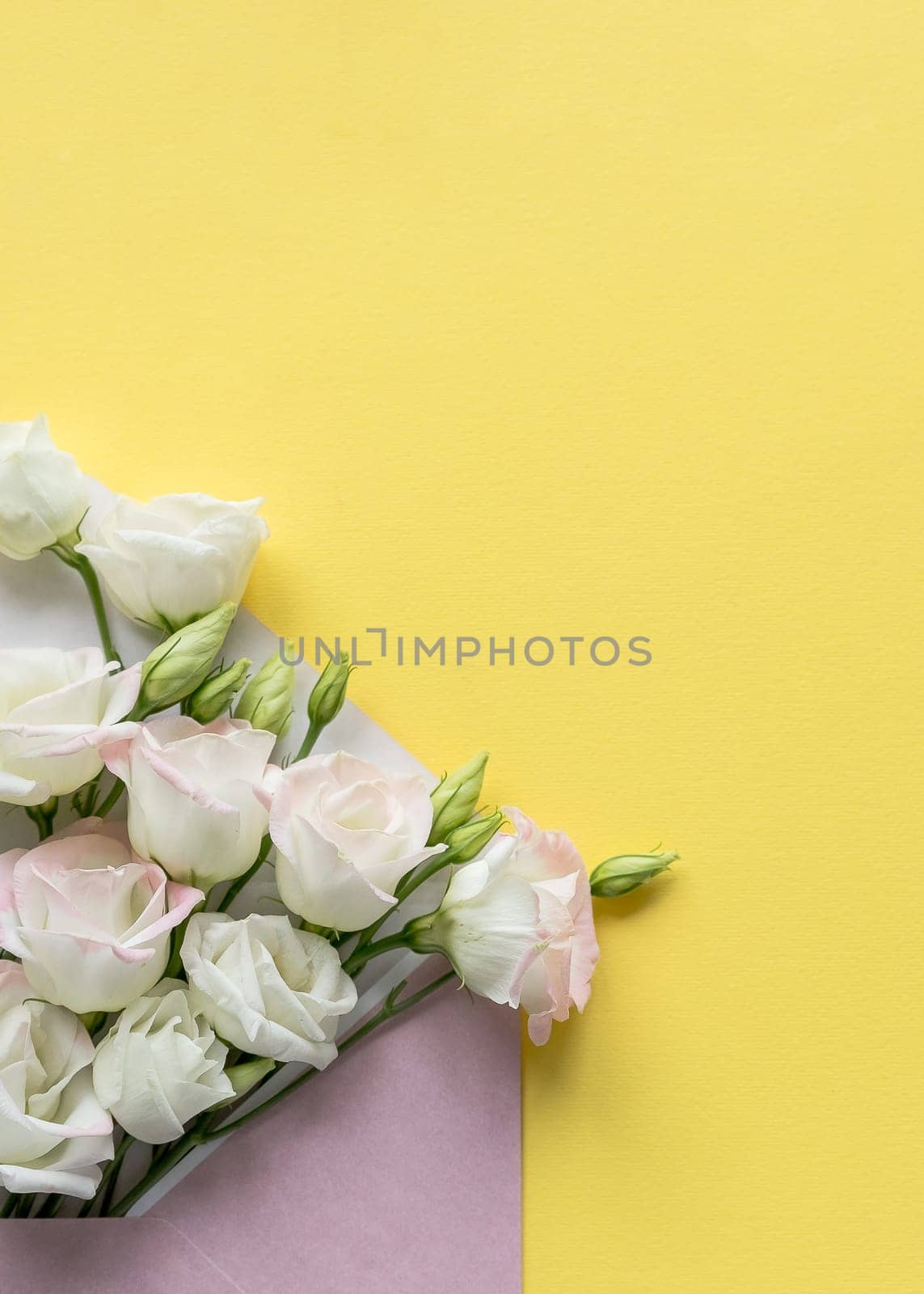 Composition with envelope and beautiful spring flowers on white background