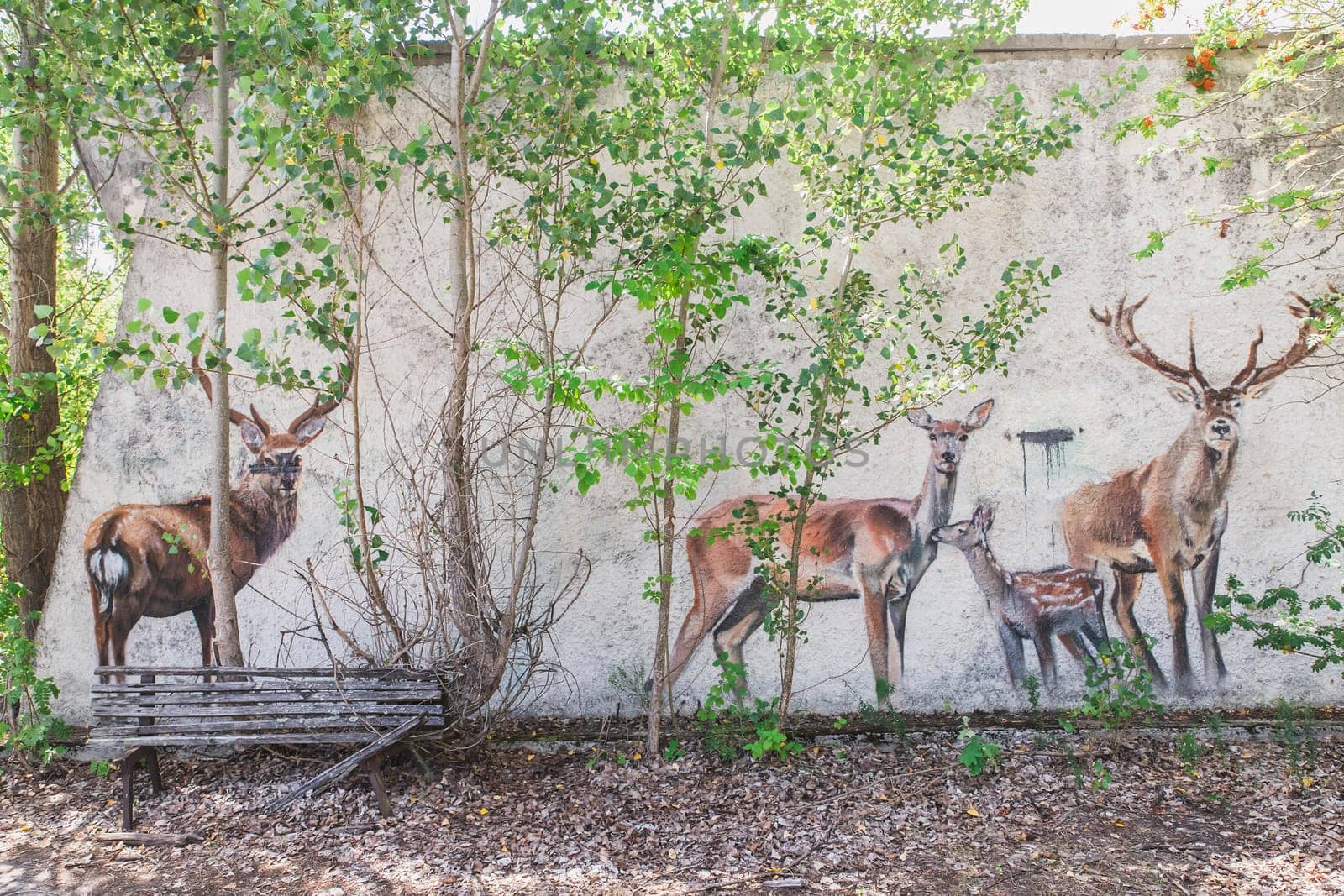 Pripyat, Ukraine, August 2020: Deer painted on a house in Pripyat.