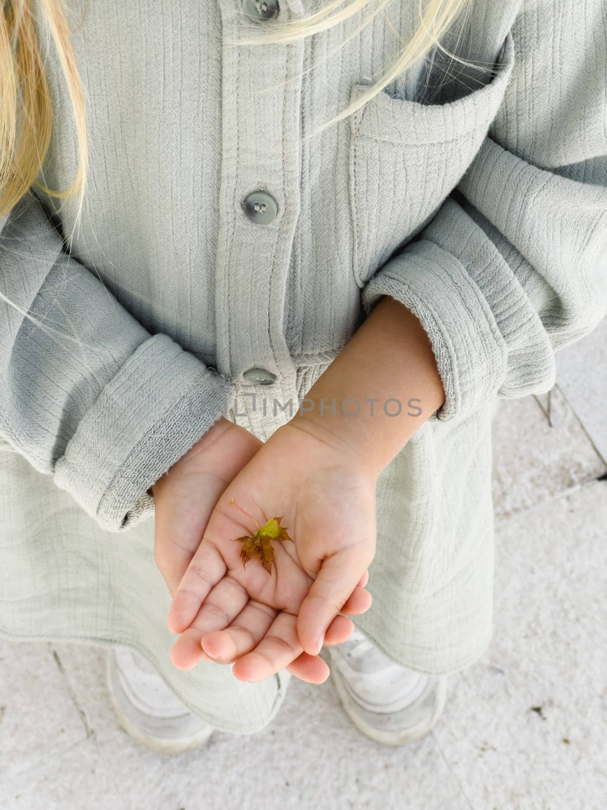 Tiny maple leaf in the palm of a little girl. Cropped. High quality photo