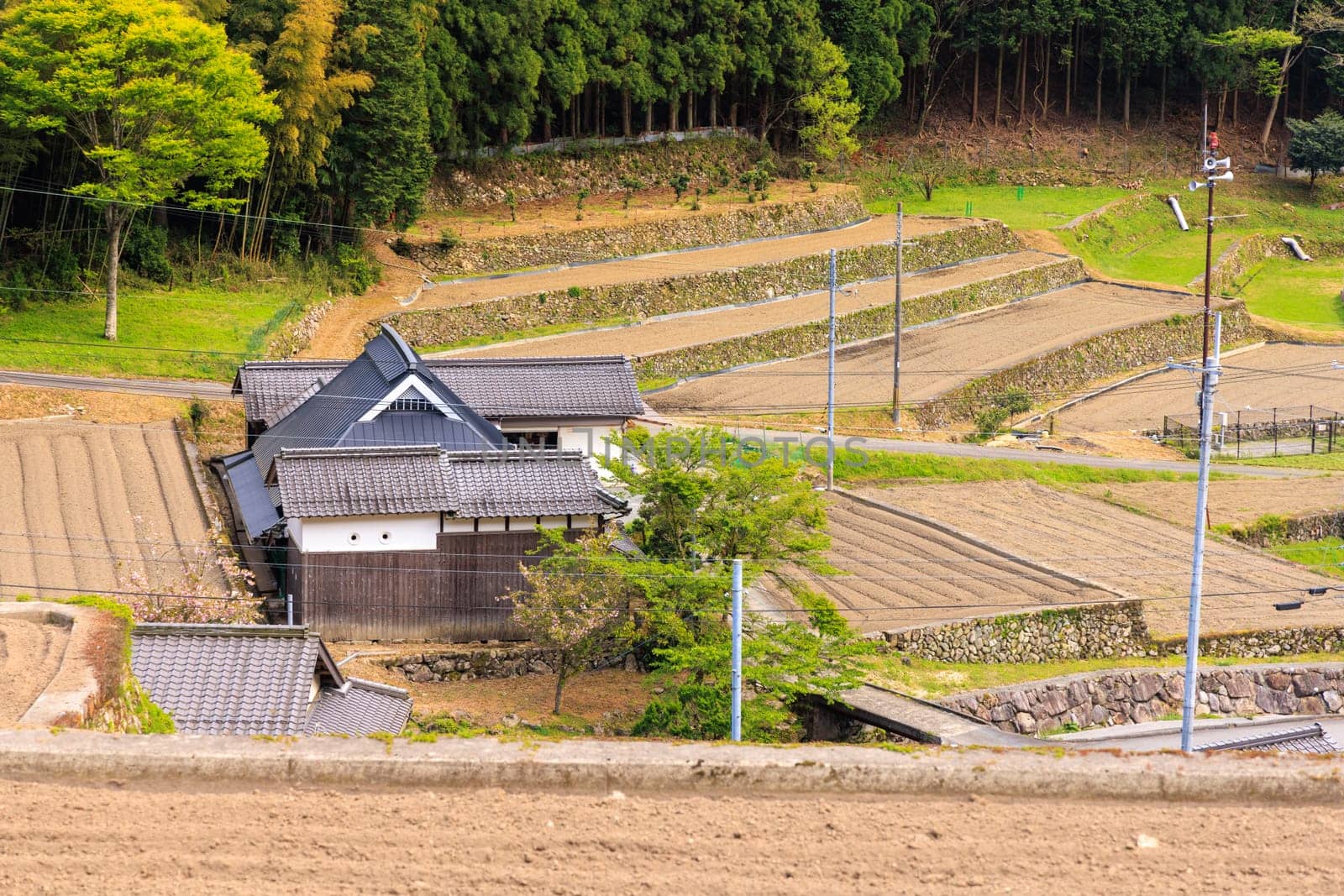 Traditional wooden Japanese house by plowed terraced rice fields. High quality photo