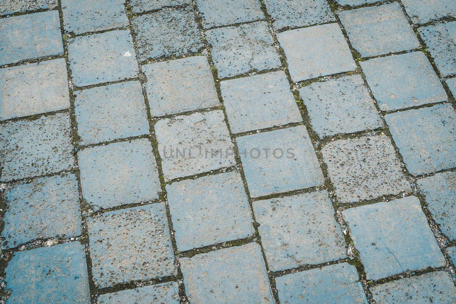 A road paved with stones, a green grass between stones on the sidewalk.