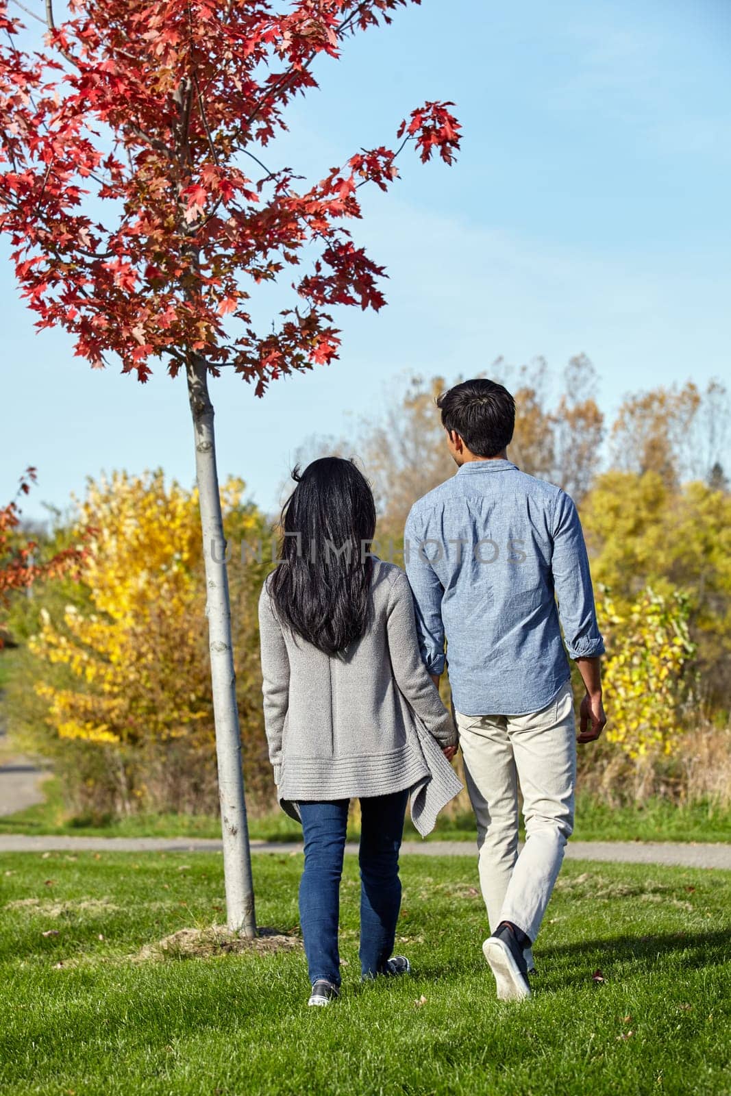 Fall in love with the beauty nature has to offer. a loving young couple out for a walk in the park