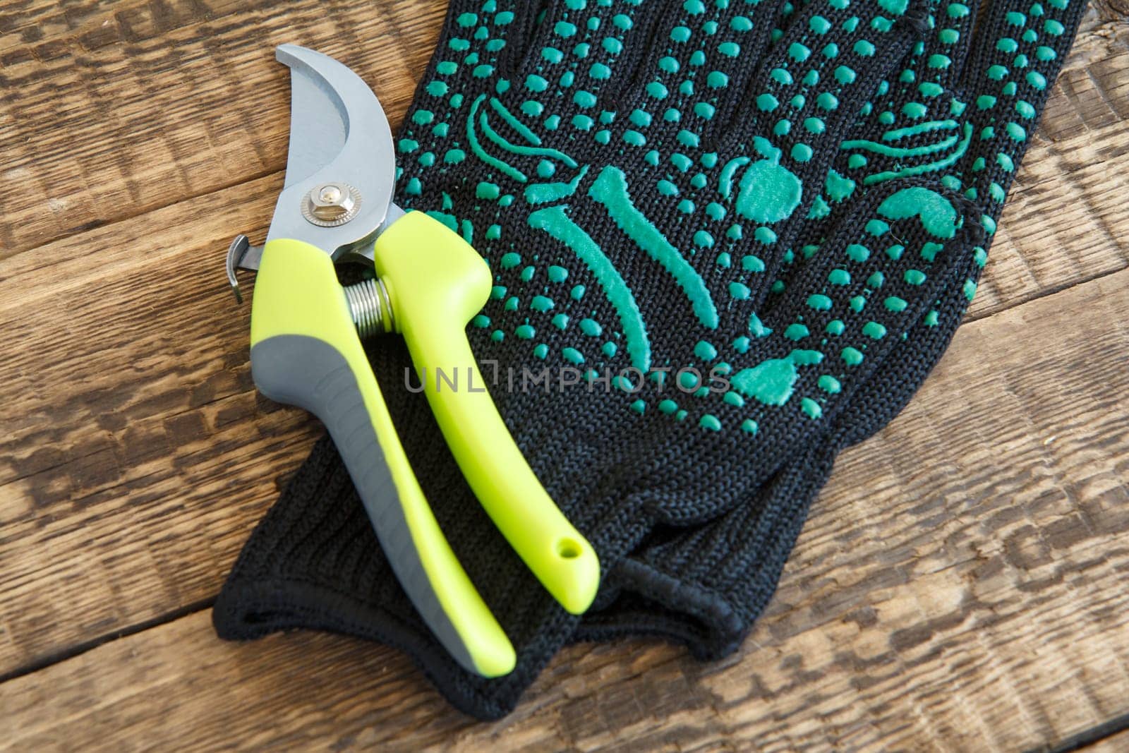 Pair of garden black gloves and pruner on wooden board. Garden tools and equipment.