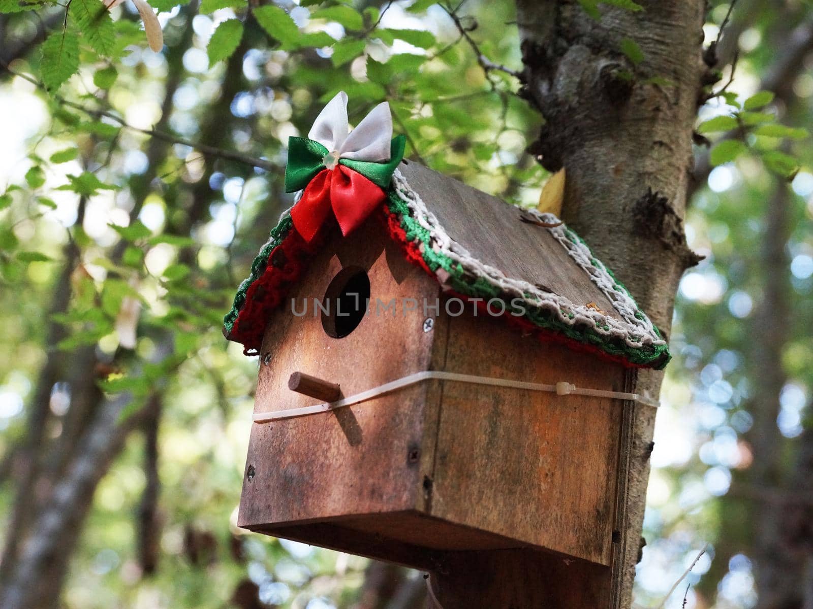 wooden decorated birdhouse on a tree in the forest by Annado