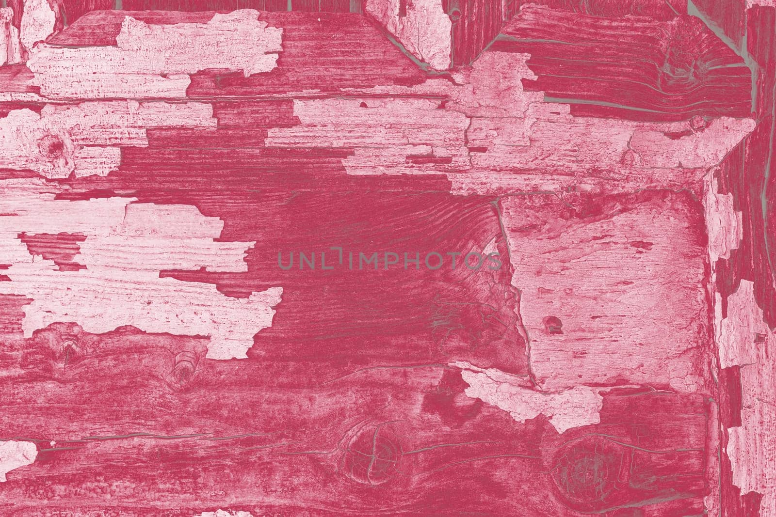 Creative wooden background. Old shabby cracked from time wood surface. Trendy toning in color 2023 Viva Magenta.