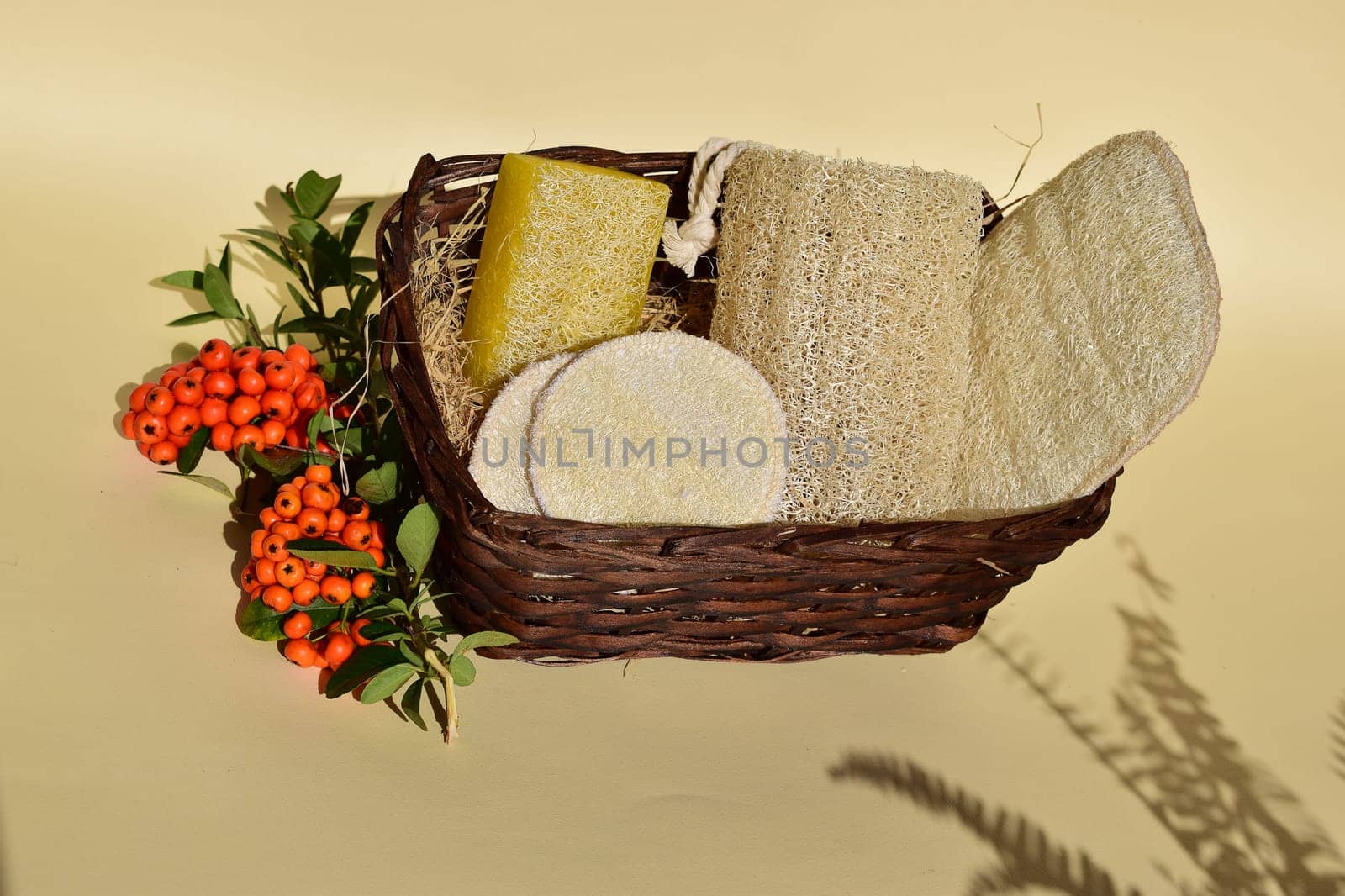 Natural Luffa Sponge. Body scrap with natural sponge on a yellow background.