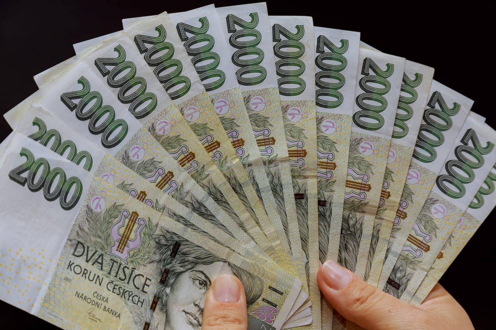 Two thousand Czech crowns in the hands of a businessman, Czech currency, money of a European country.