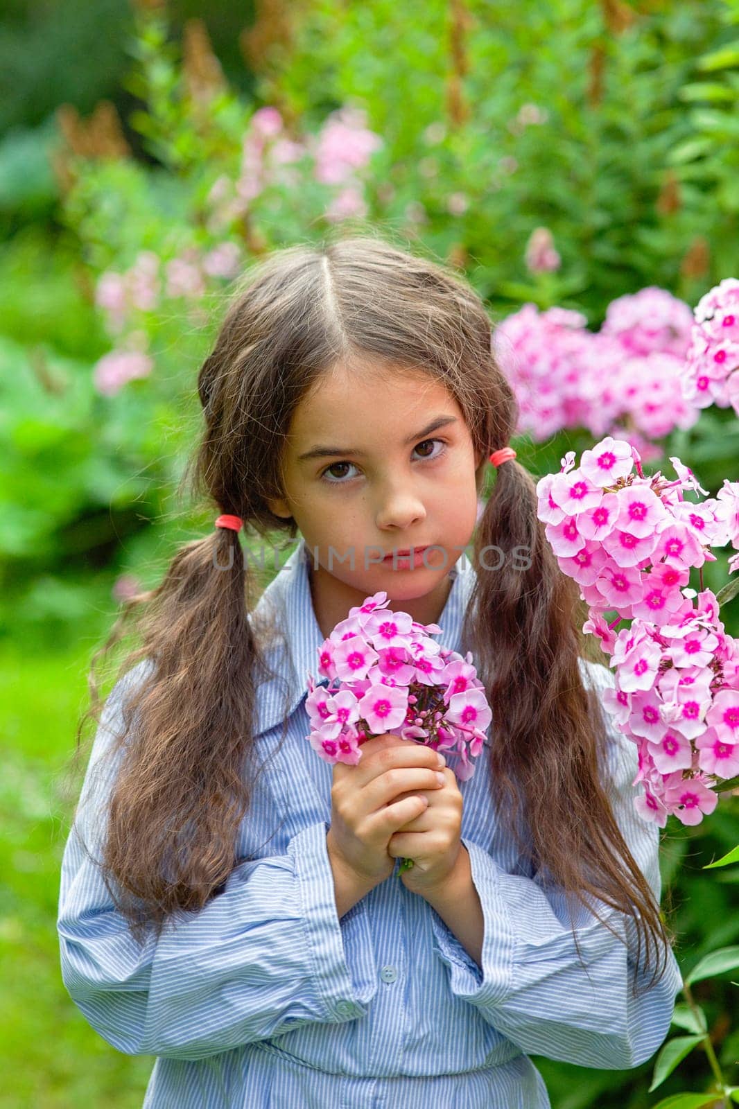 Portrait of a cute little girl with pink phlox flowers, summer. Close up. Vertical