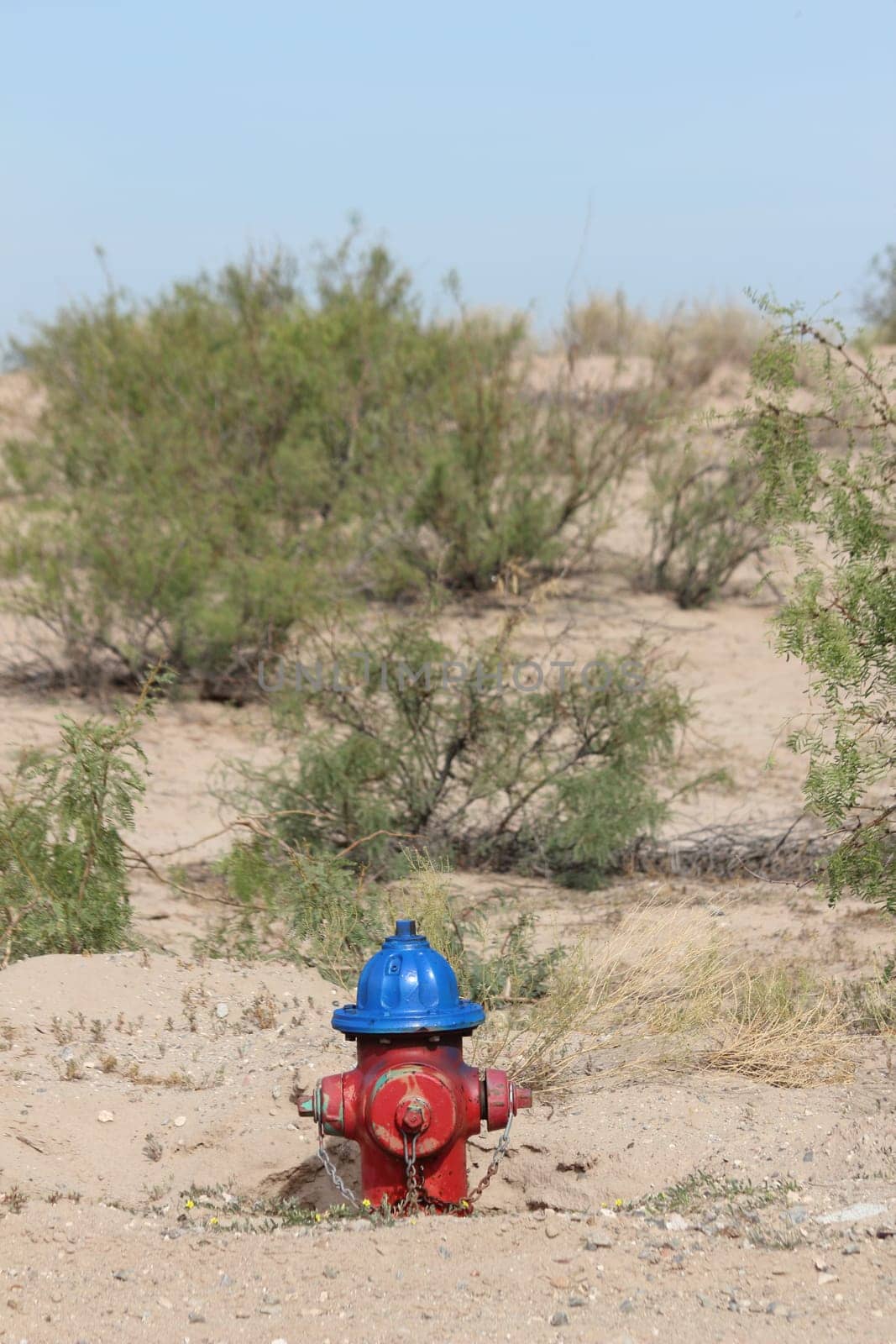Red and blue fire hydrant in a desert landscape environment by Marcielito