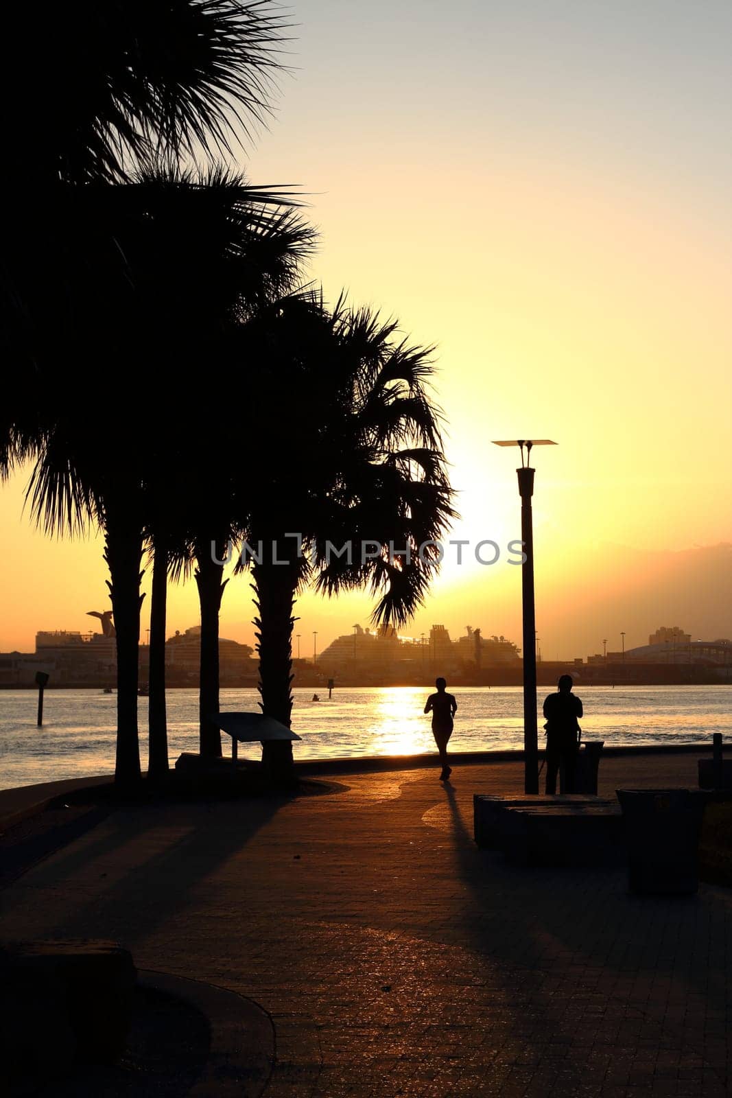 Miami Brickell - Morning run with cruise terminal in the background. Orange sunset.