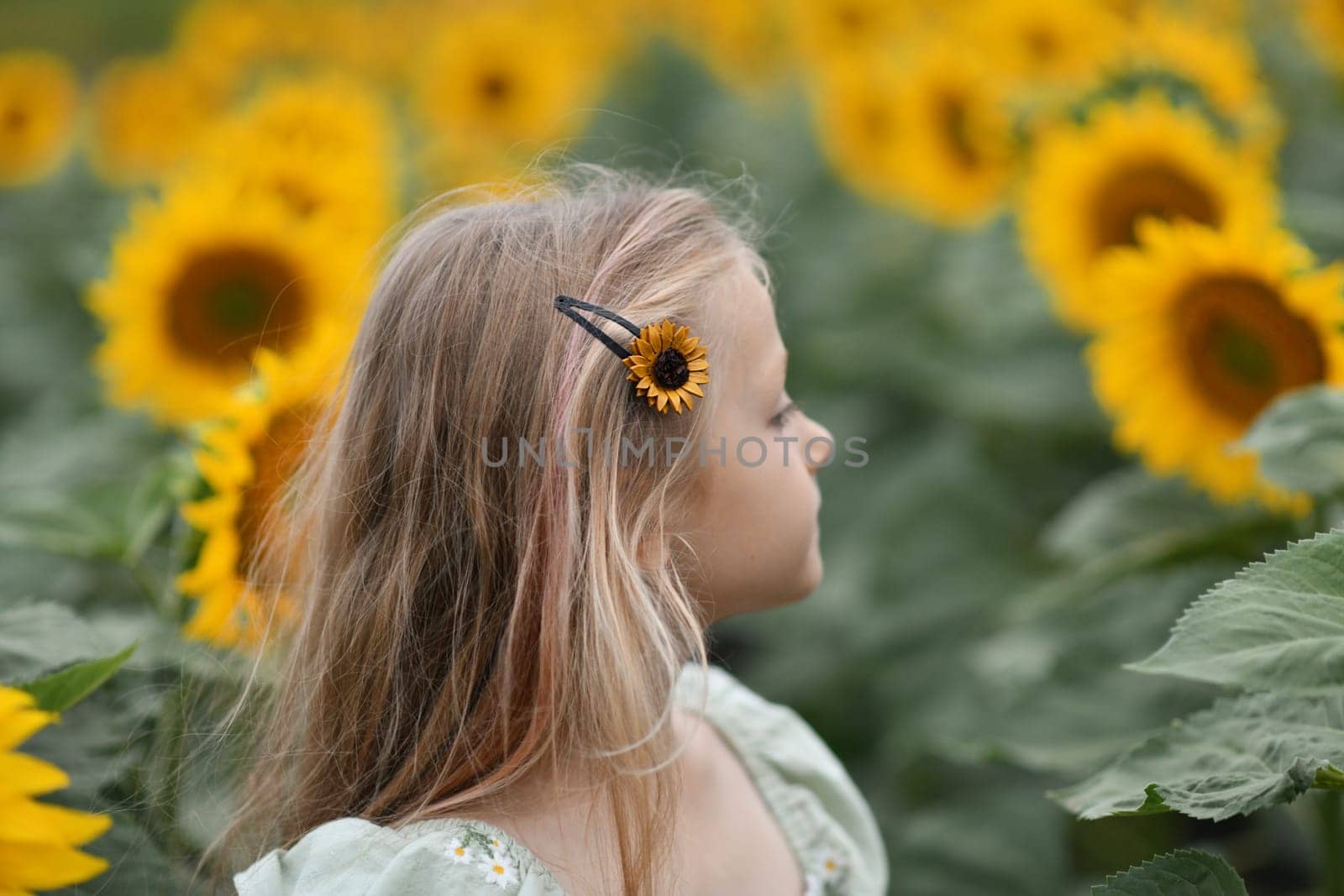 A girl in a dress enjoys life in a field with sunflowers