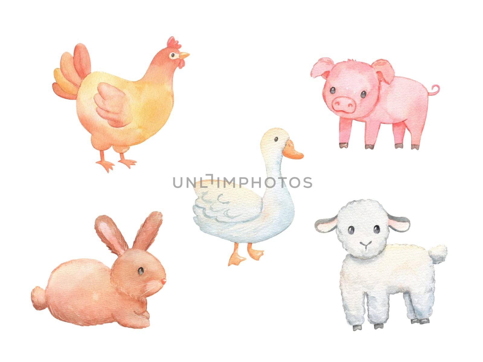 Cute baby piglet, lamb and chicken isolated on white. Watercolor farm animals set. by ElenaPlatova