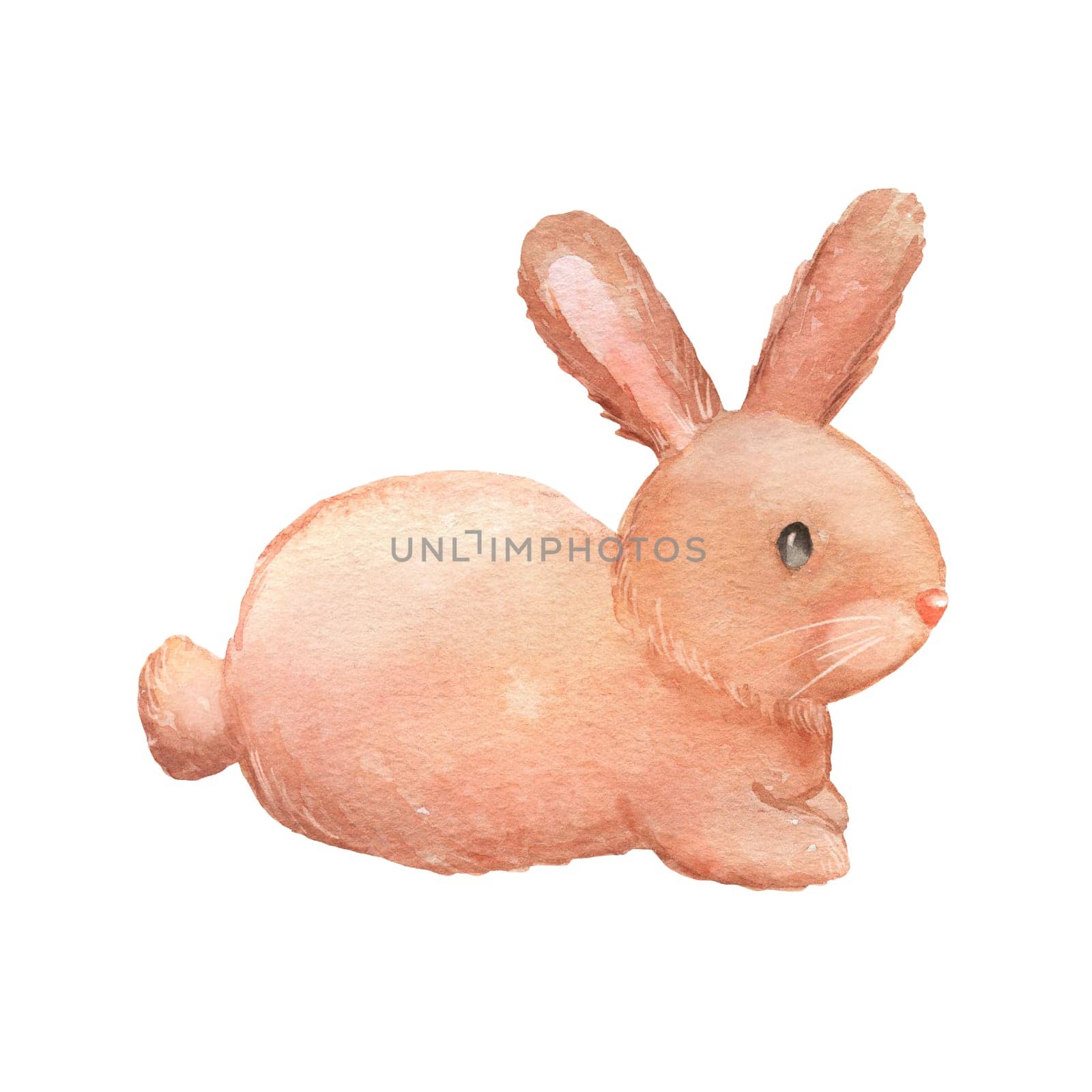 Watercolor cute rabbit. Hand drawn farm animal isolated on white. by ElenaPlatova