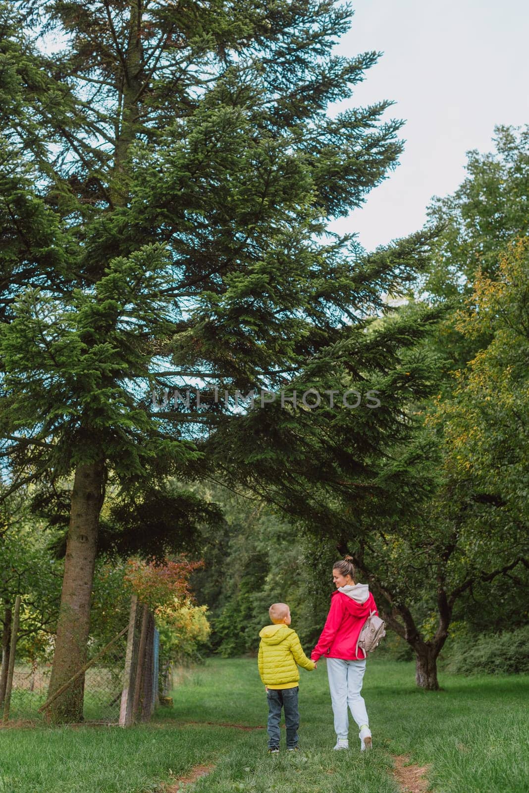 Beautiful family -Mom with small son on a walk in autumn sunny nature. Happy couple holding hands. Back view. Young mother with her little baby boy having fun in the autumn park by Andrii_Ko