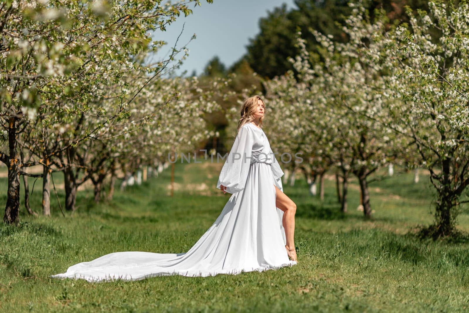 Blond blooming garden. A woman in a white dress walks through a blossoming cherry orchard. Long dress flies to the sides