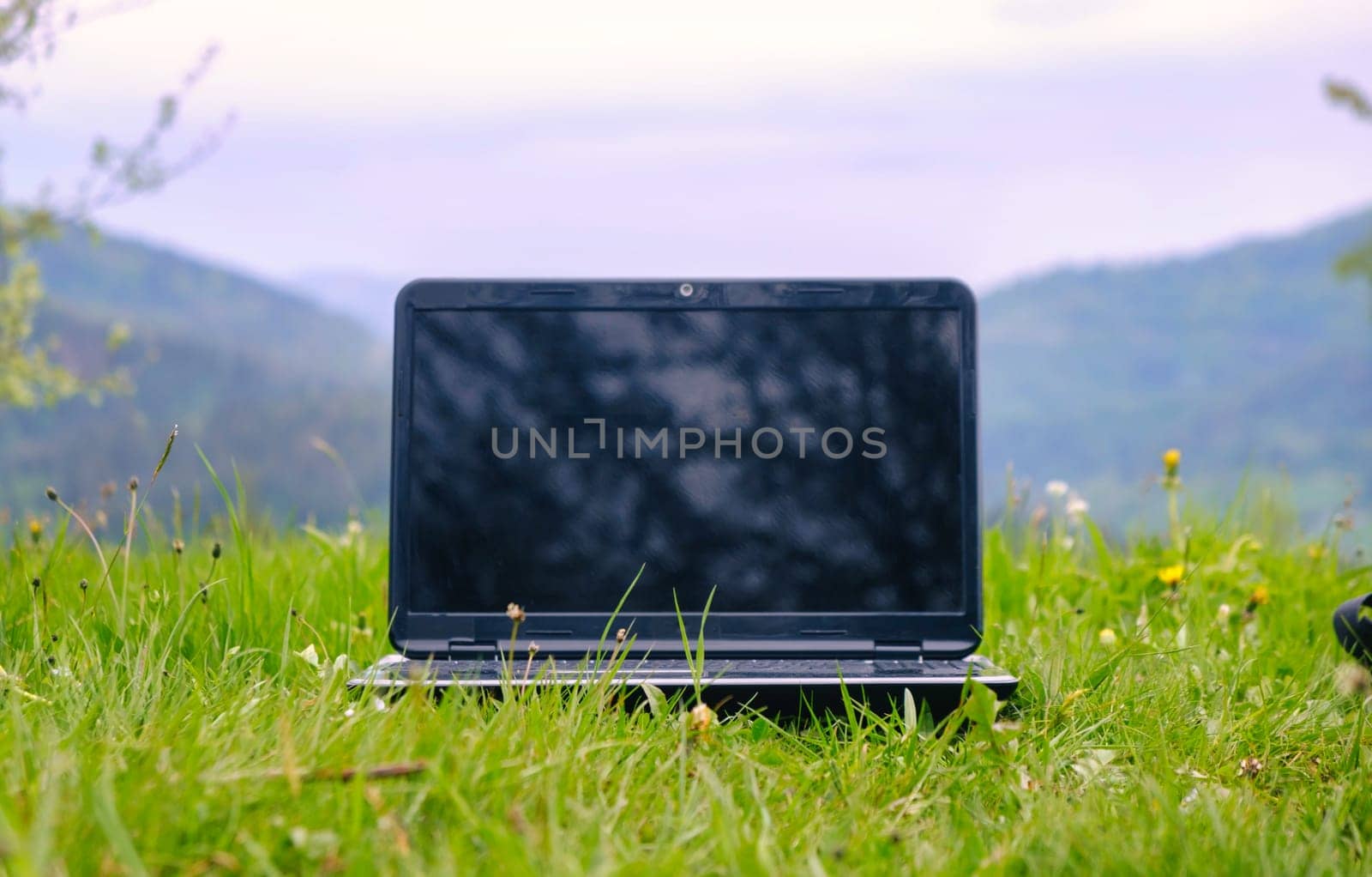 Laptop on grass. Laptop on green grass in park. Working outdoor. Blank screen. Laptop in nature background. Ecology travel and work outside office concept. by igor010