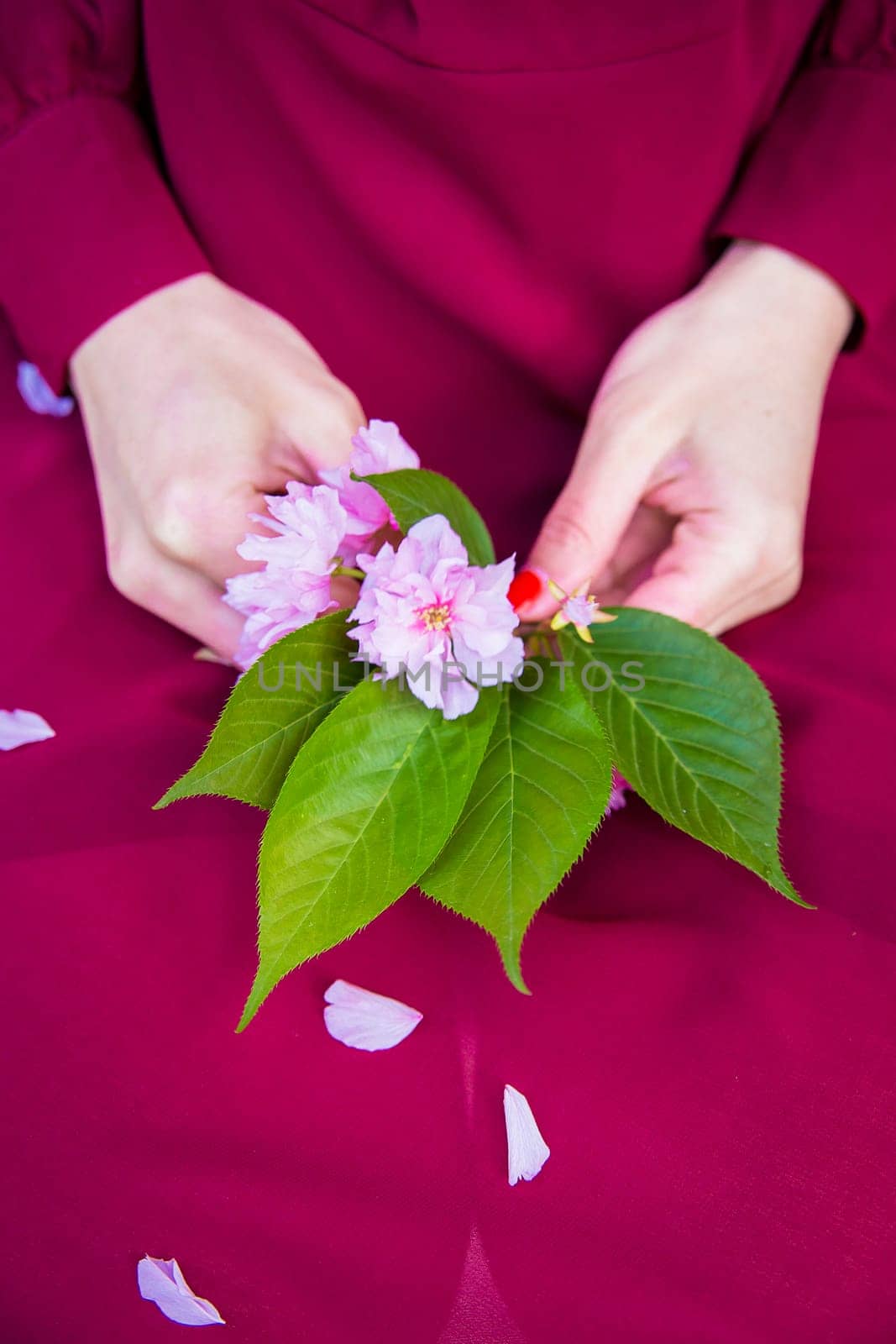 girl in red dress holding sakura in hands by sfinks