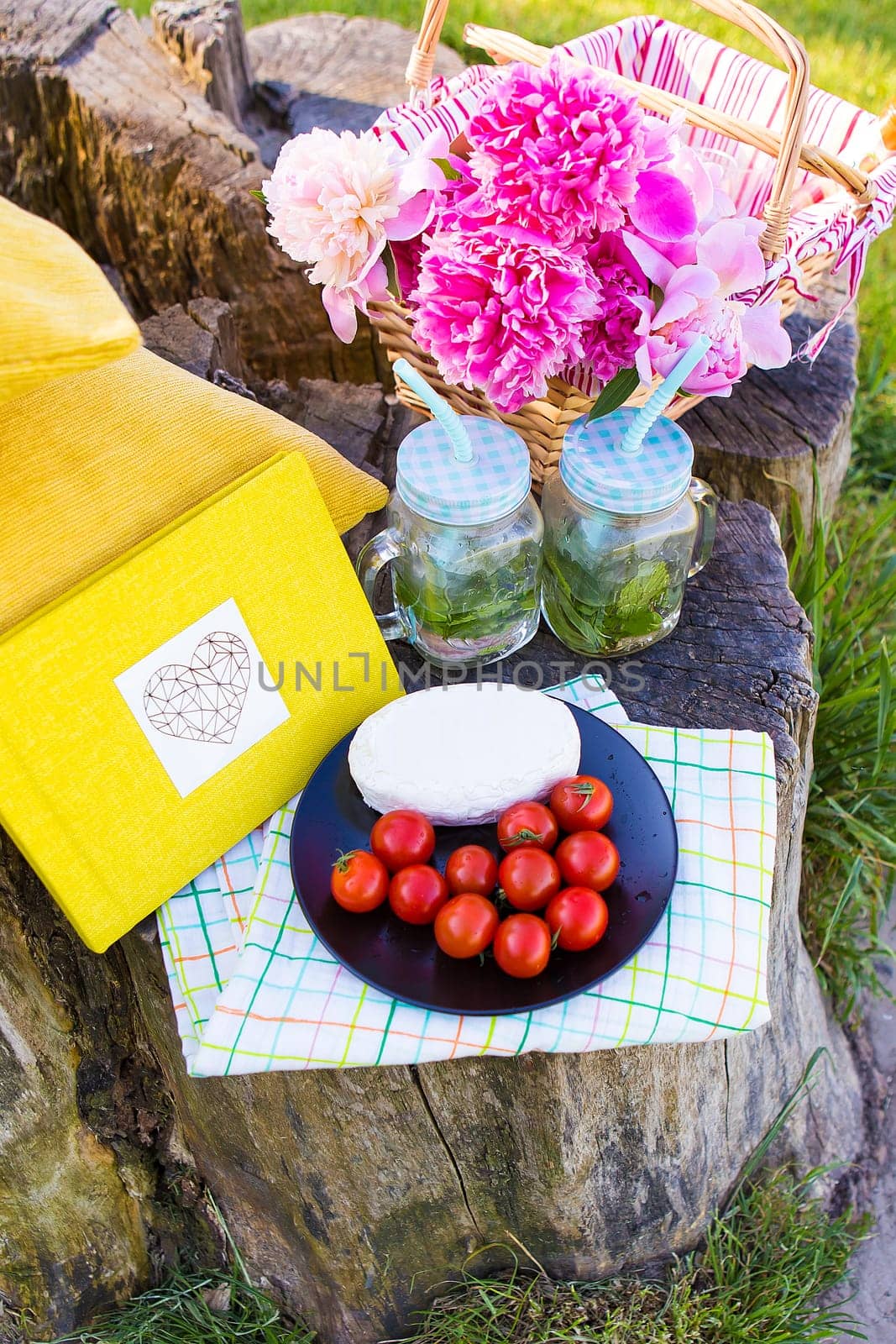 Bright and delicious picnic in nature-a healthy day