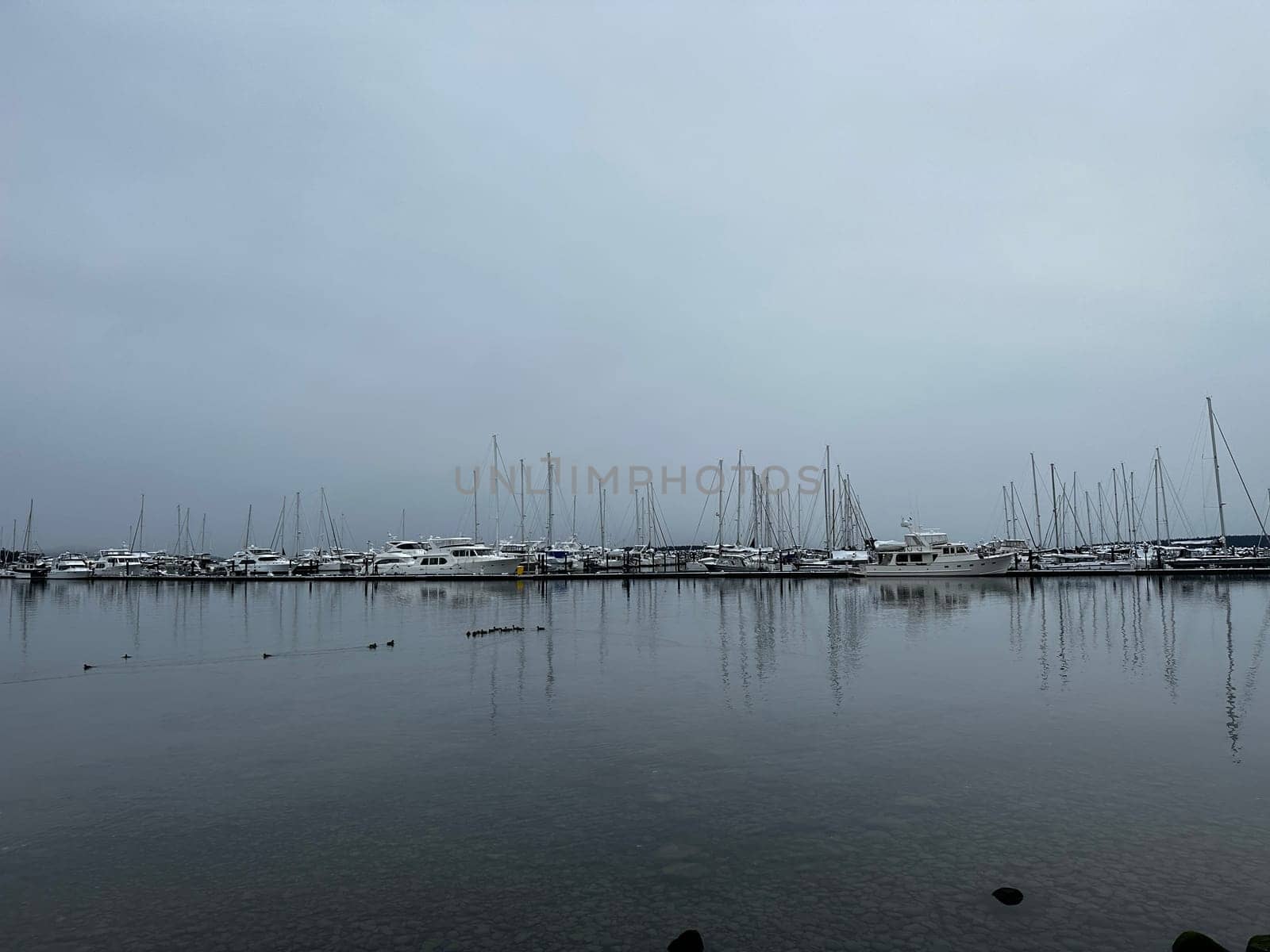 Sailboat reflections at Port Sidney Marina on a dreary dark and overcast day by Granchinho