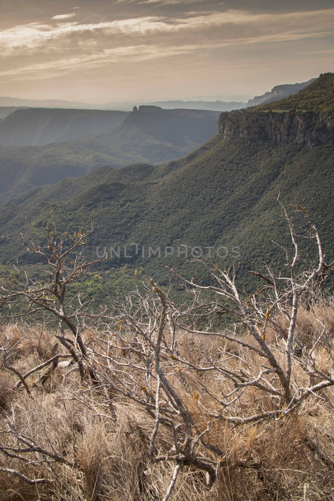 Collsacabra mountains landscape in Guilleries National Park in Catalonia by ValentimePix