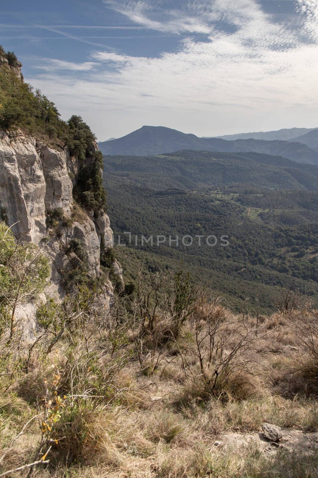 scenic landscape showing mountains and forest