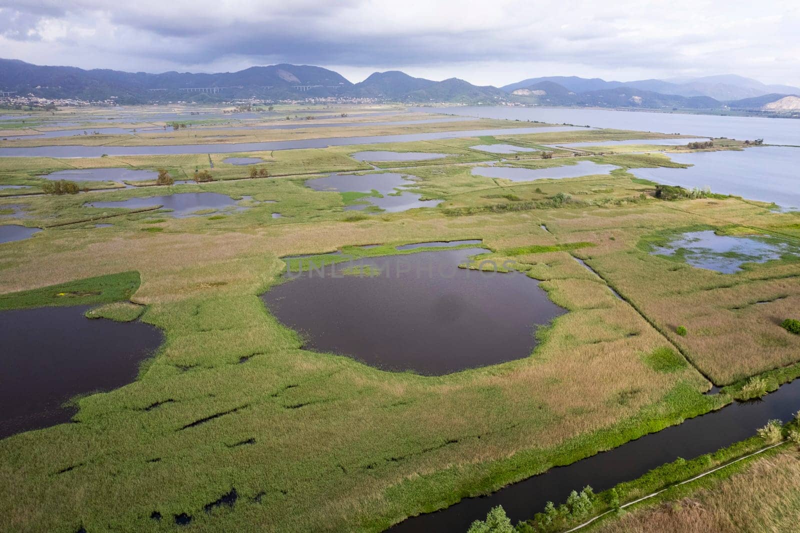 Aerial view of the marshy area of Lake Massaciuccoli  by fotografiche.eu