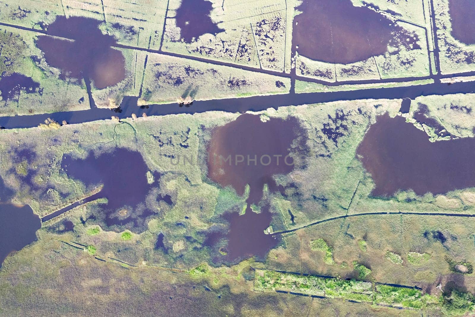 Aerial view of the marshy area of Lake Massaciuccoli  by fotografiche.eu