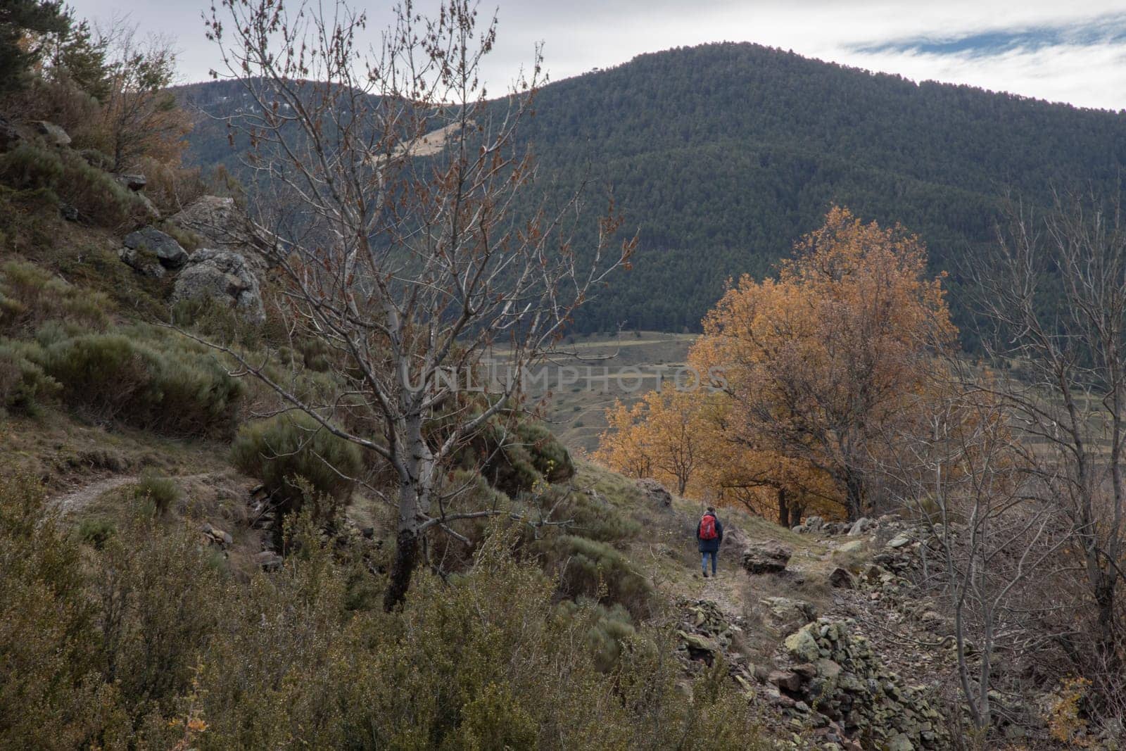 Boi Valley landscape in Pyrenees in Catalonia by ValentimePix