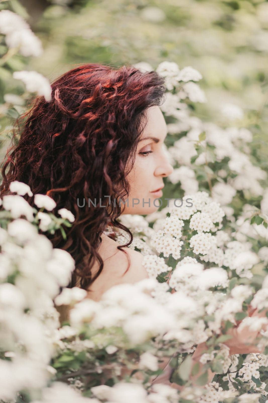 Woman spirea flowers. Portrait of a curly happy woman in a flowering bush with white spirea flowers