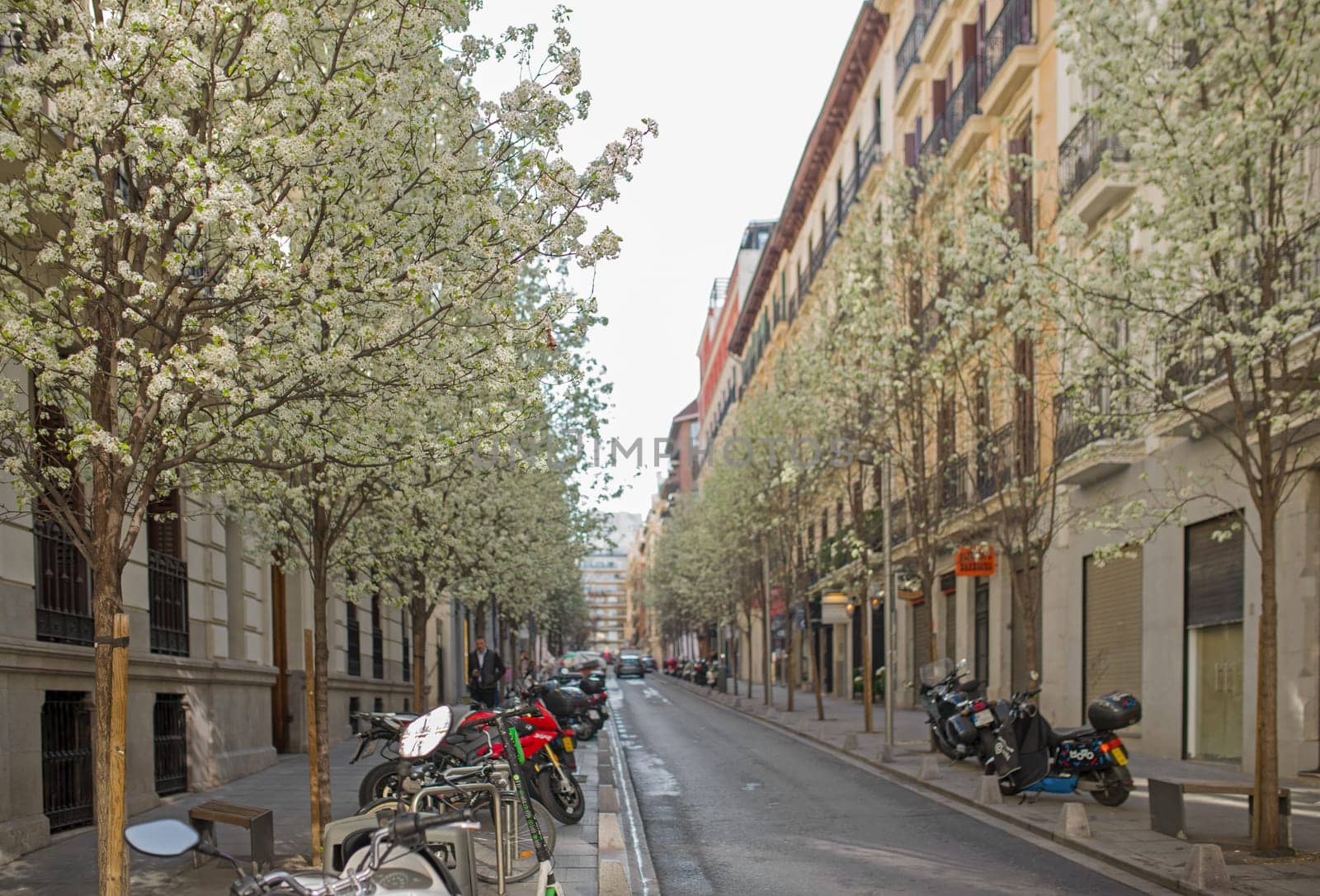 streets of madrid in spring. Madrid. Spain - March , 2021. The Arenal street in downtown Madrid, in Spain