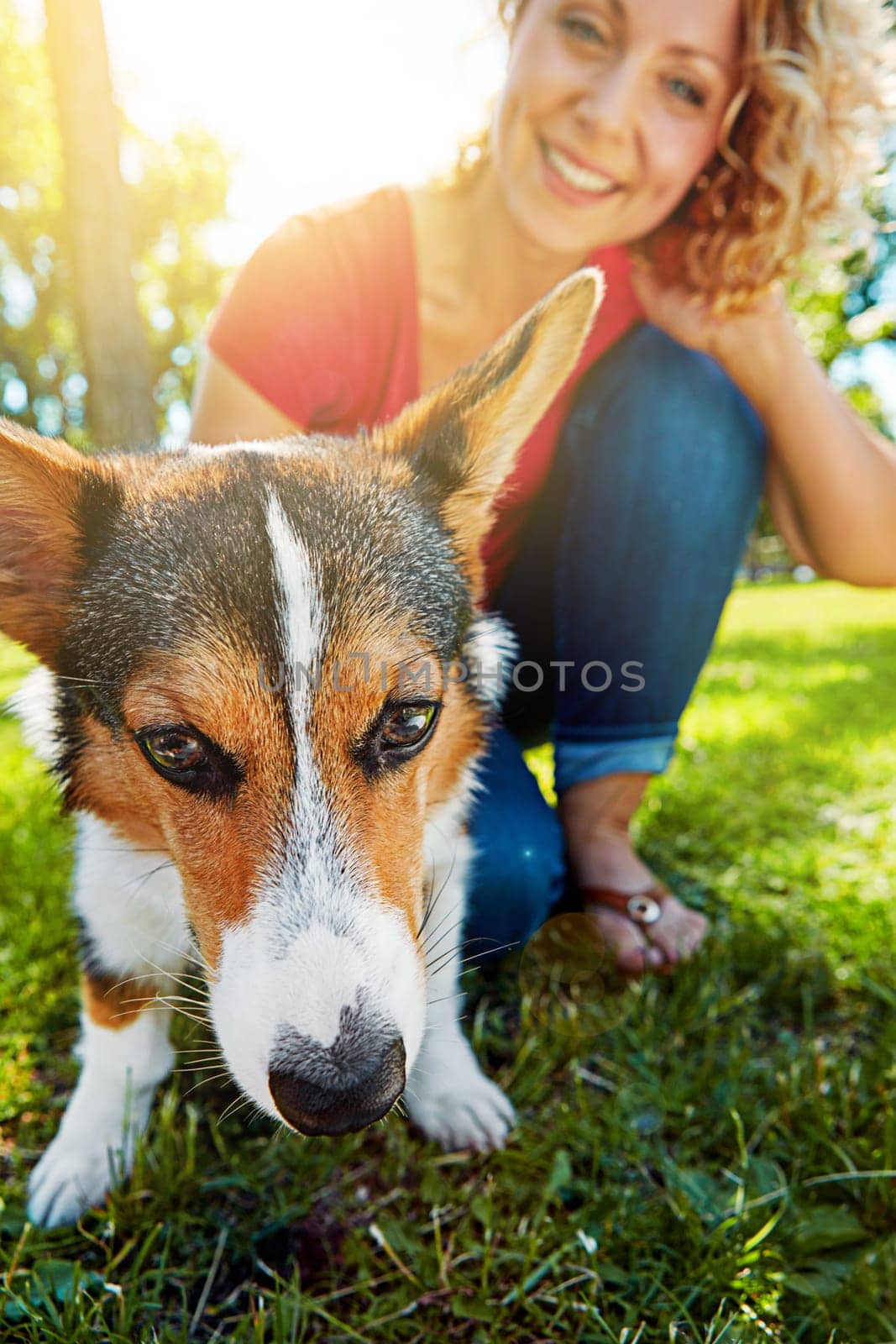 Let the exploring begin. a young woman bonding with her dog in the park